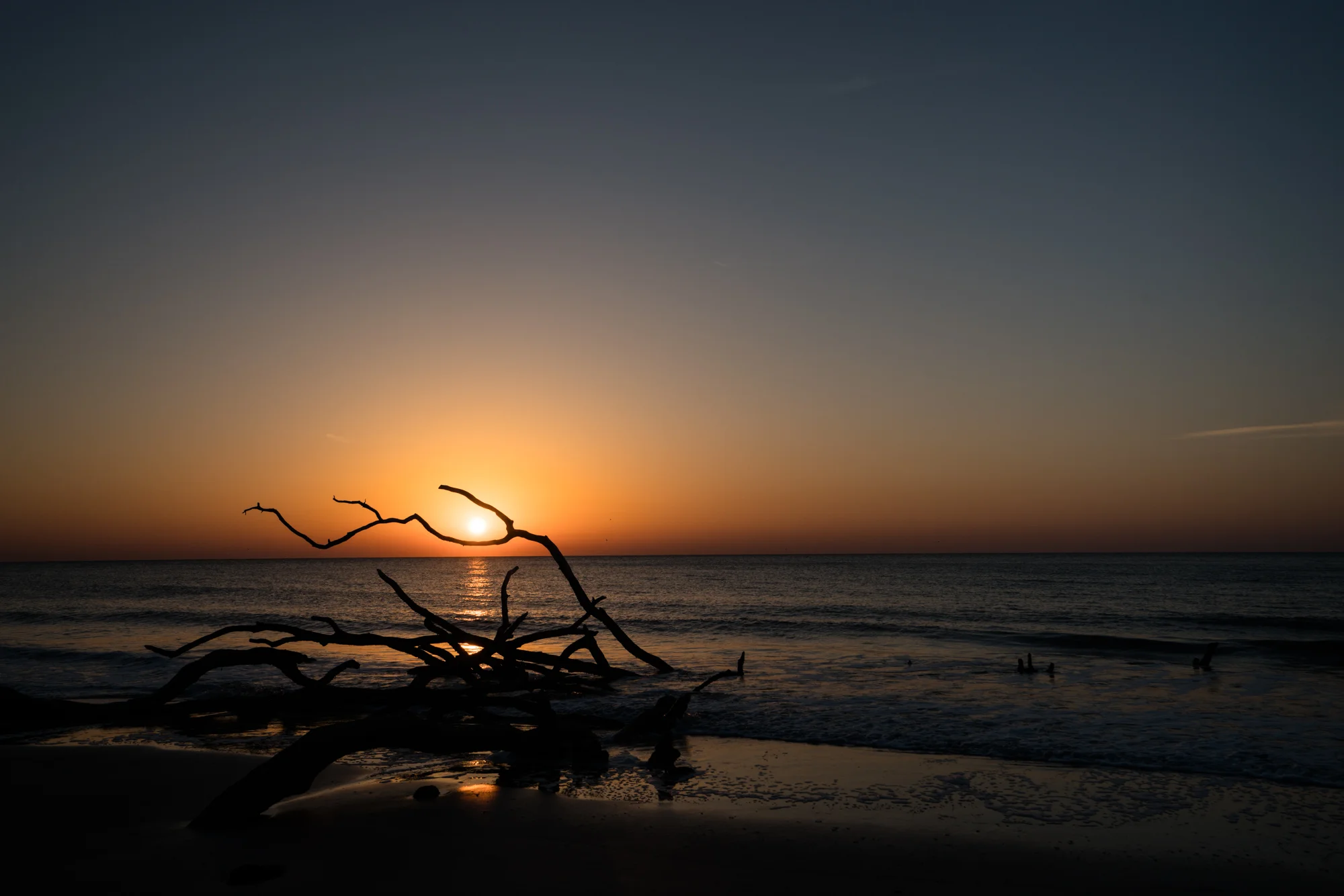 Sunrise on the beach at Hunting Island State park. Get out early, it is worth it.