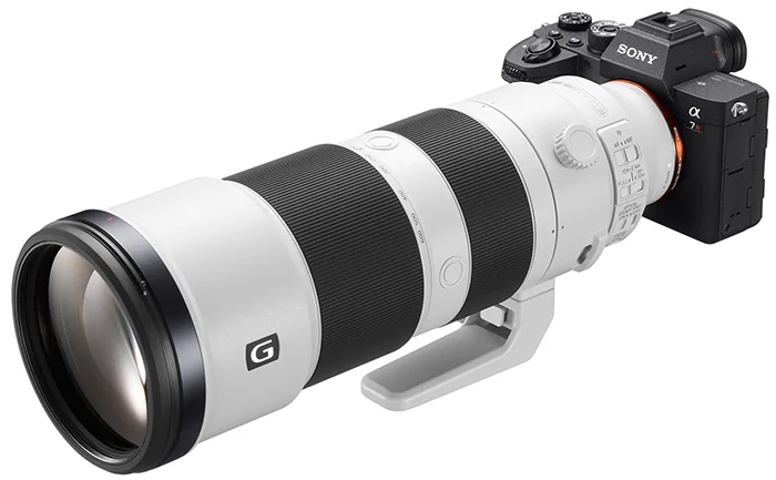 Sony 200-600mm lens on A7RIV