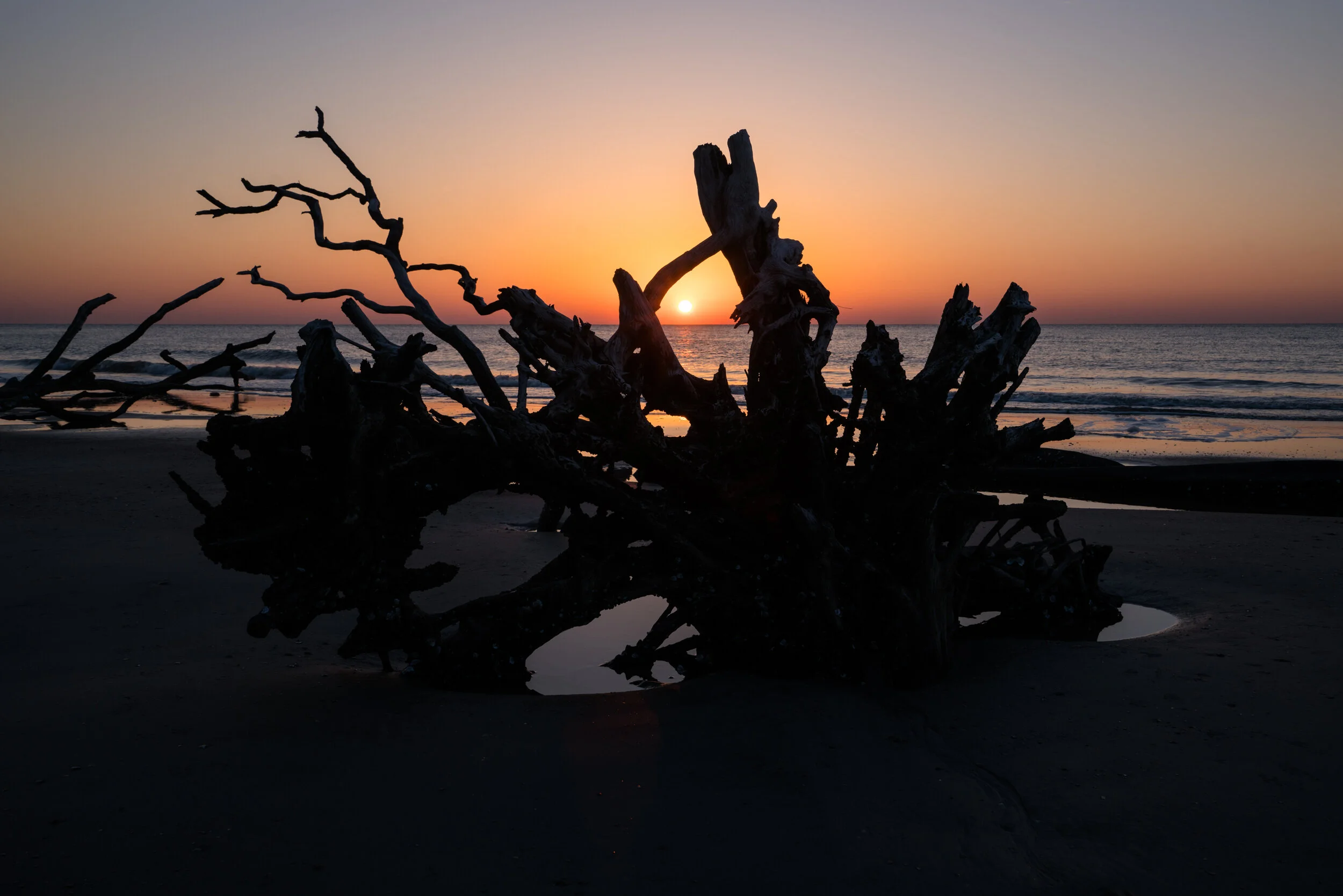 sunrise on a beach boneyard in South Carolina
