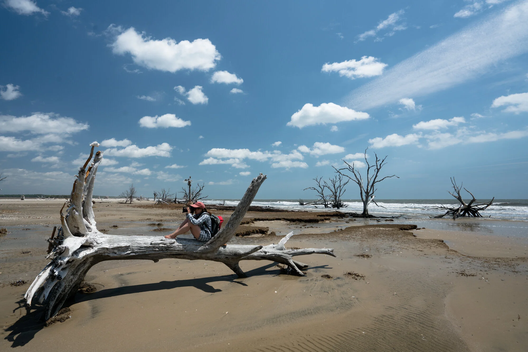 Salwa shooting from  a dead tree on the beach
