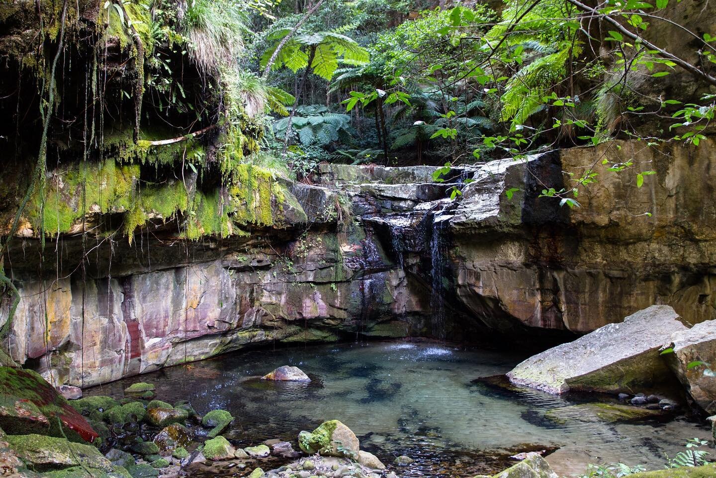A little Oasis in the rainforest