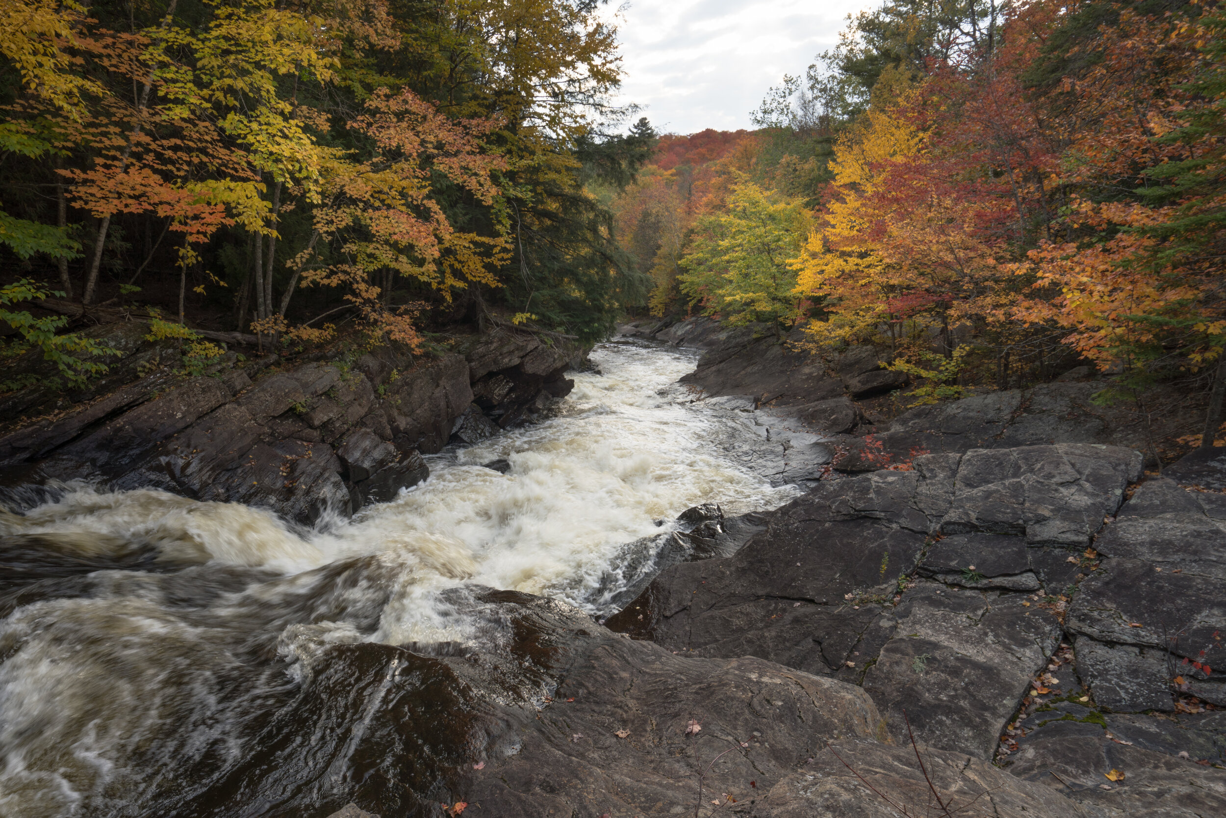 Oxtongue Rapids