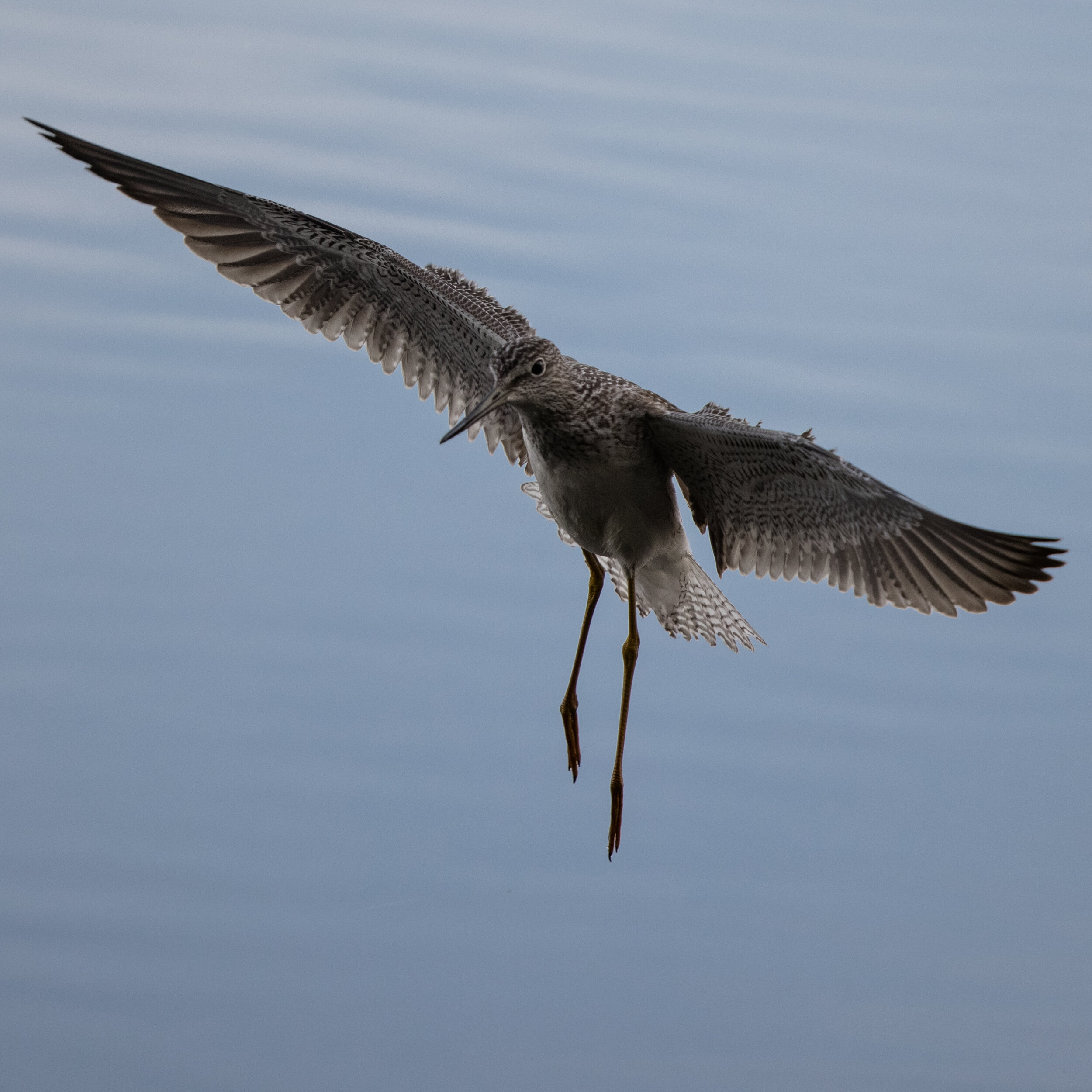 Gentle Landing