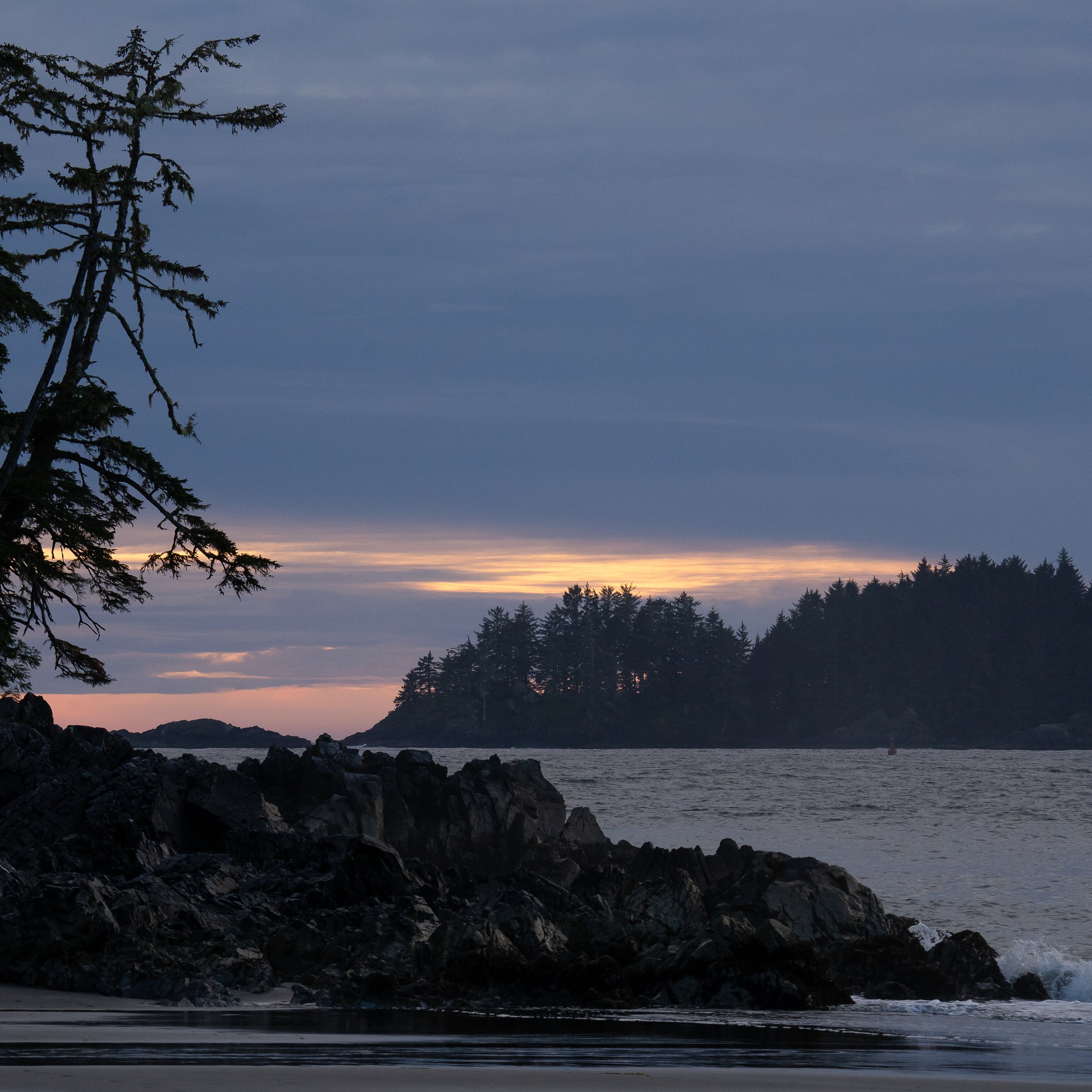 Tree and Rock