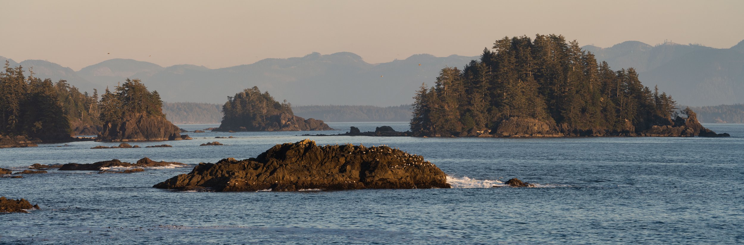 The view from Ucluelet