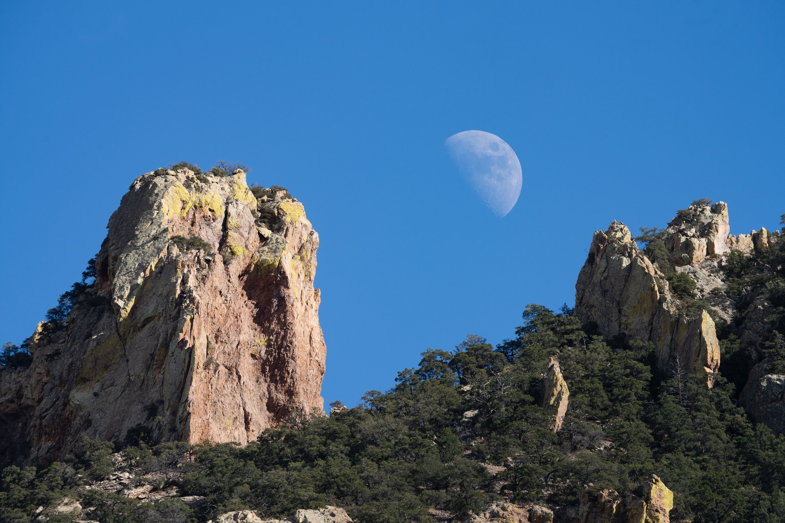 Moon over Cave creek