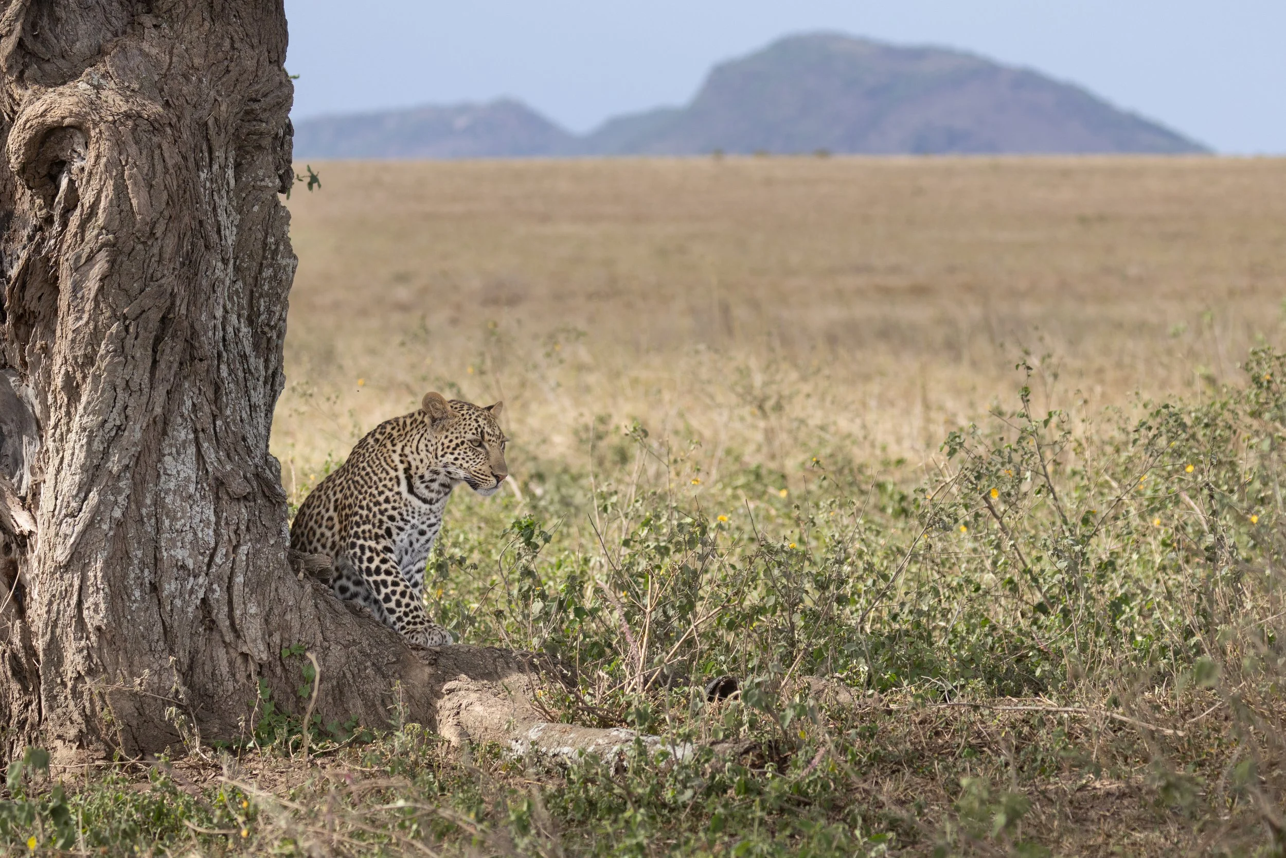 AfricaDay5and6-1443.jpg