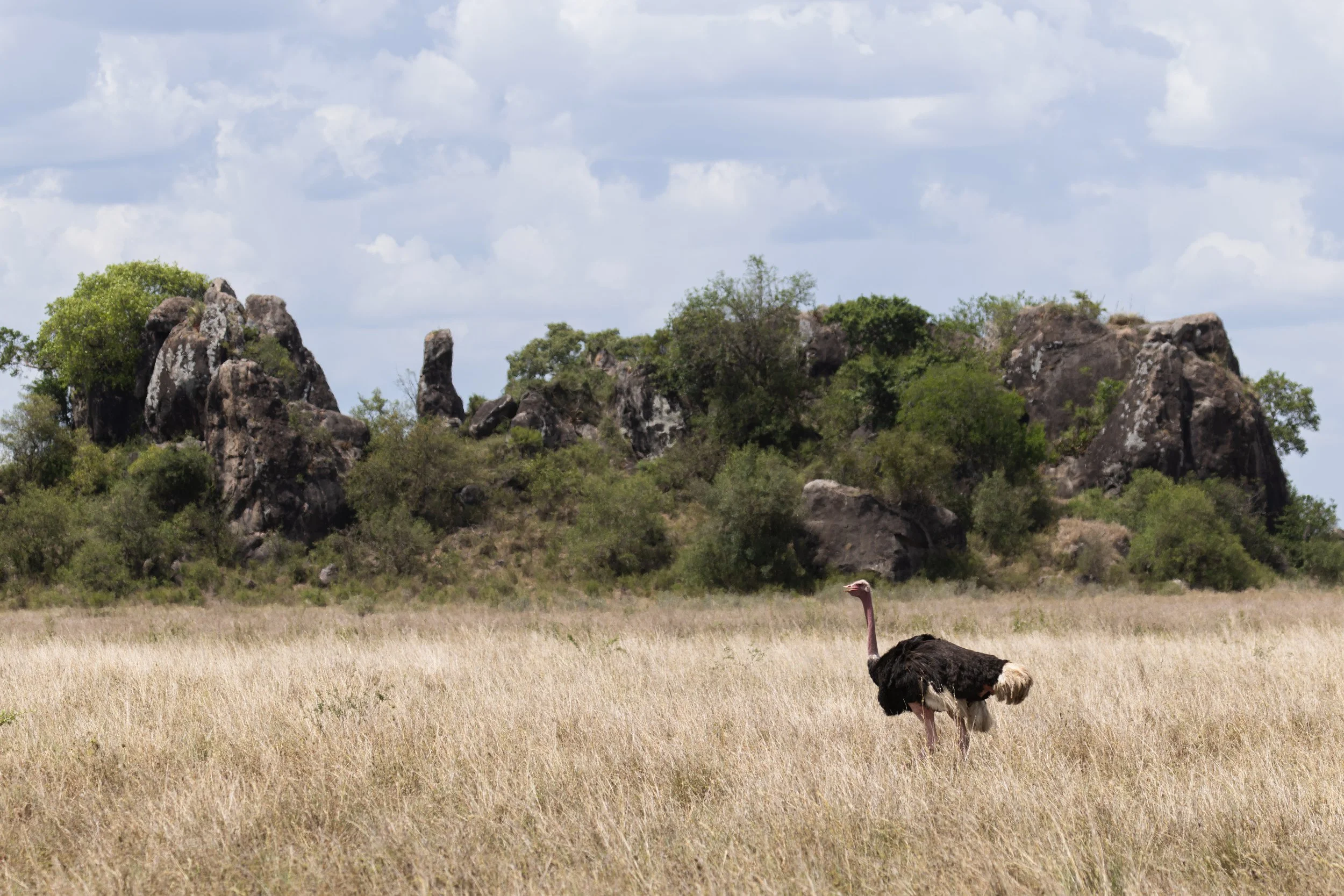 AfricaDay5and6-2355.jpg