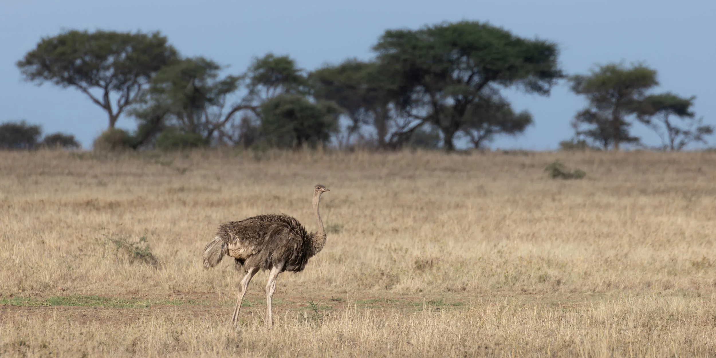 AfricaDay5and6-1128.jpg