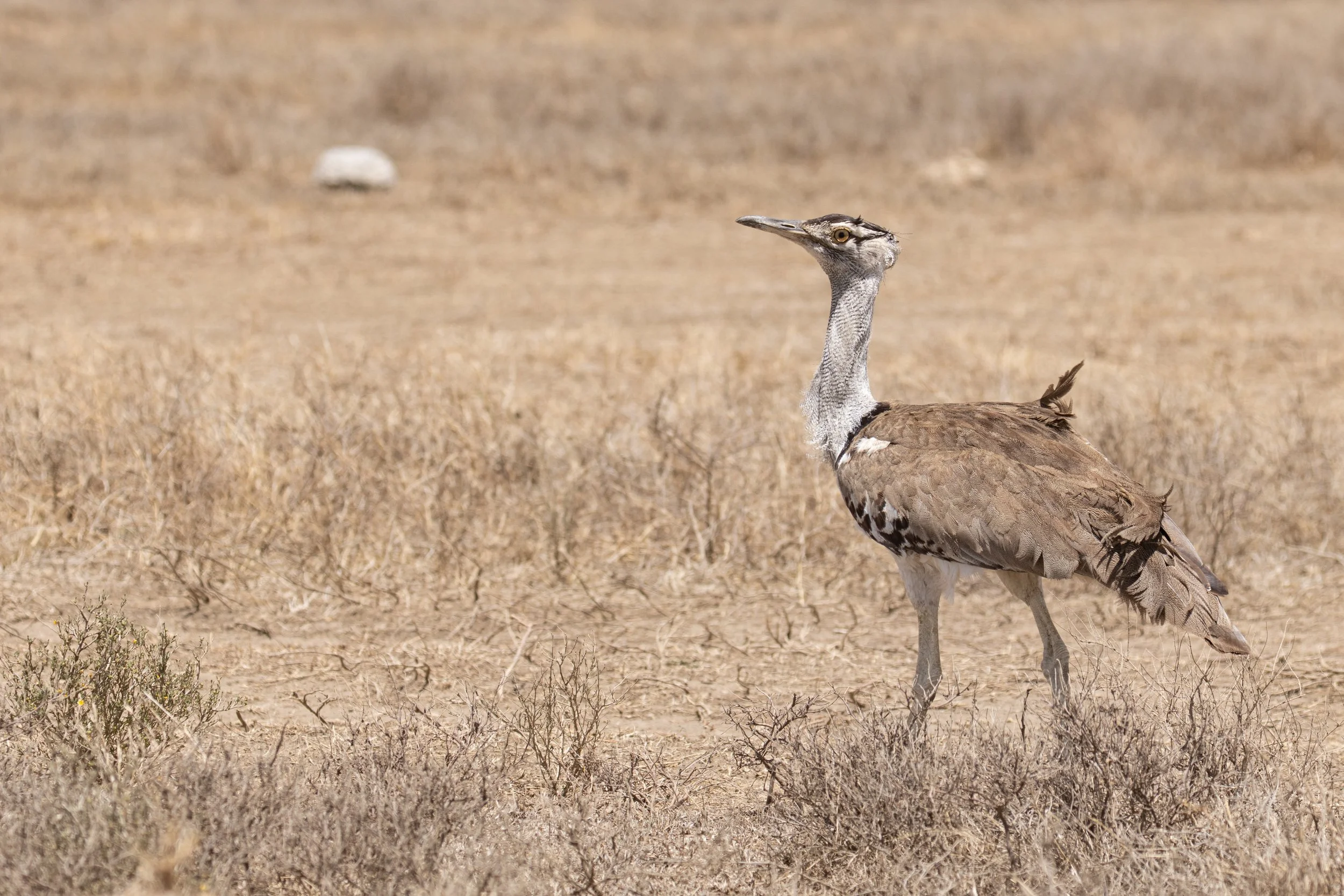 AfricaDay5and6-1069.jpg