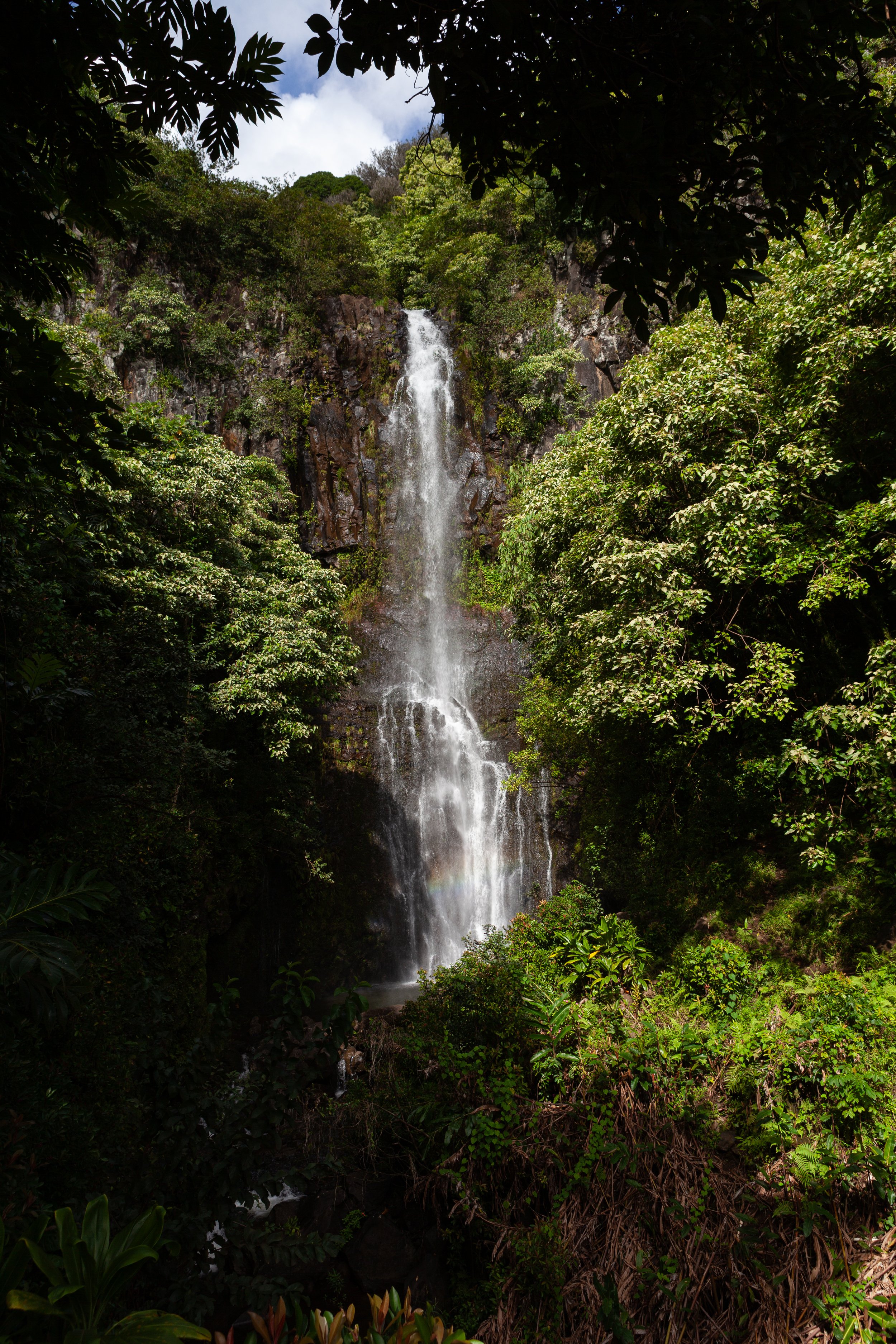 mauicard2-046.jpg
