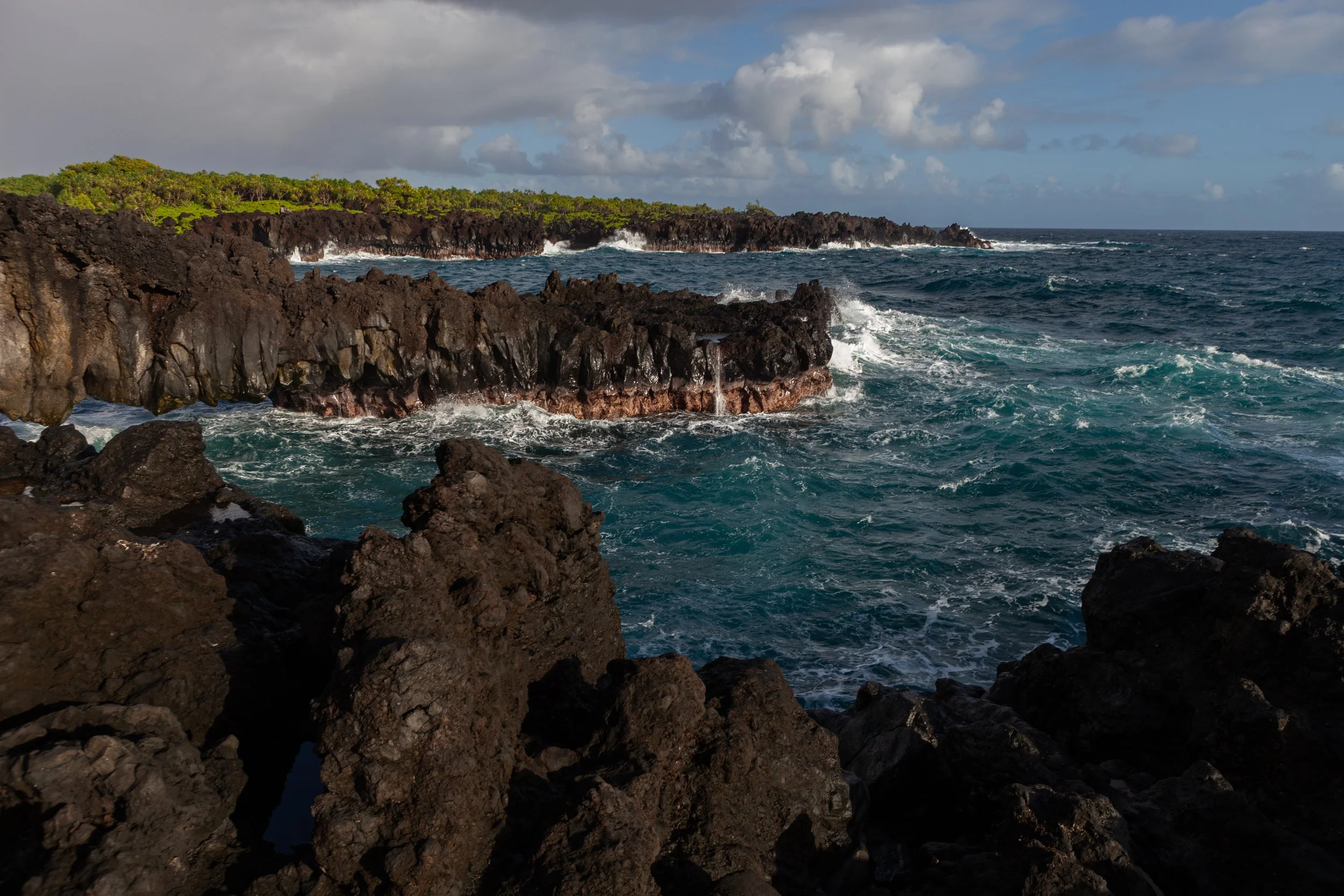mauicard4-151.jpg
