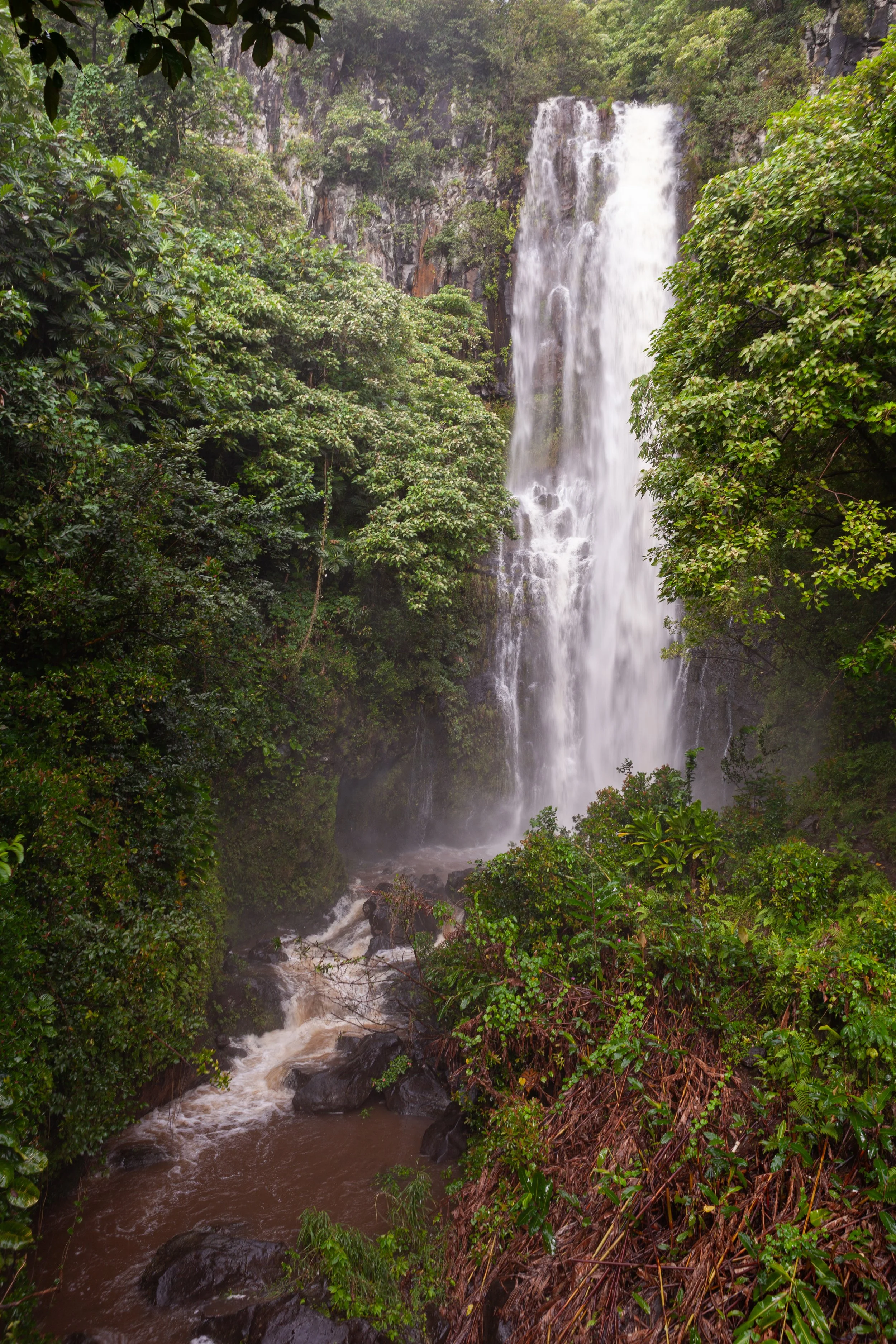 mauicard4-092.jpg