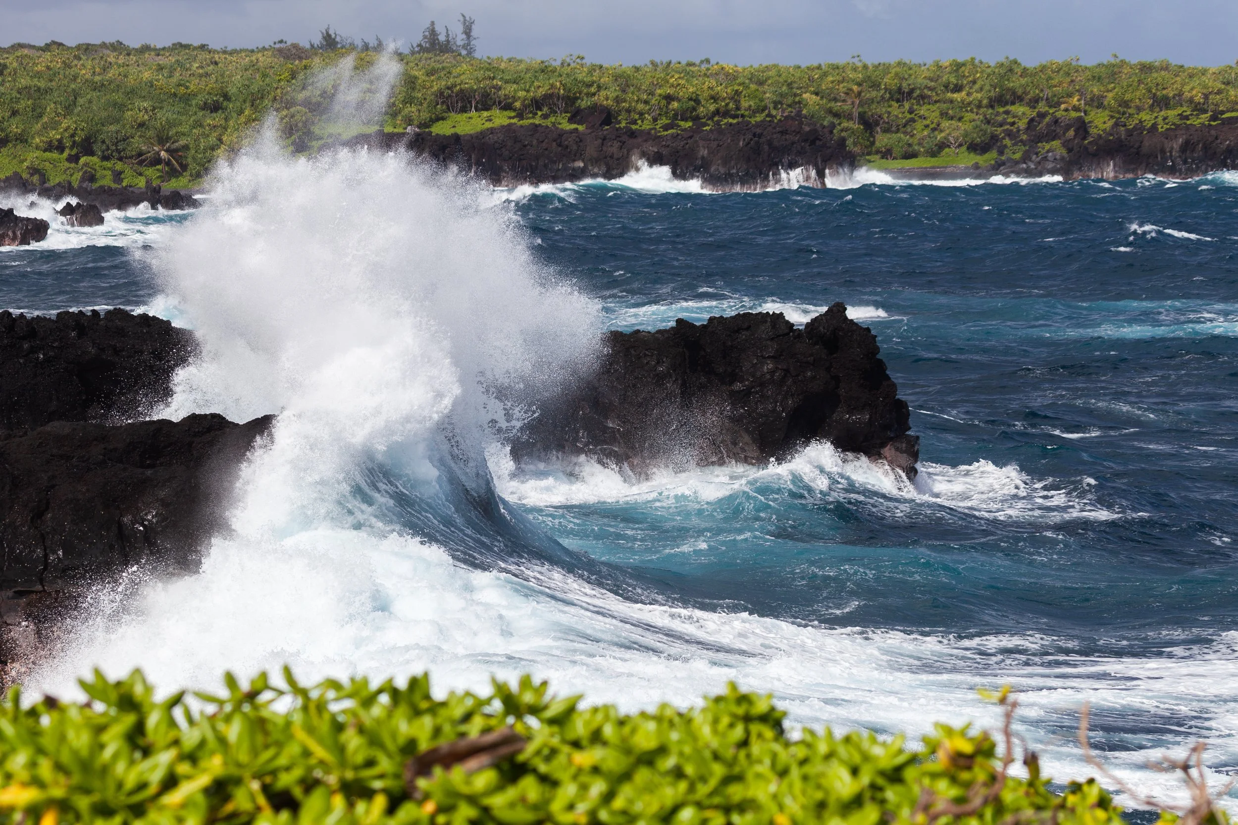 mauicard4-185.jpg
