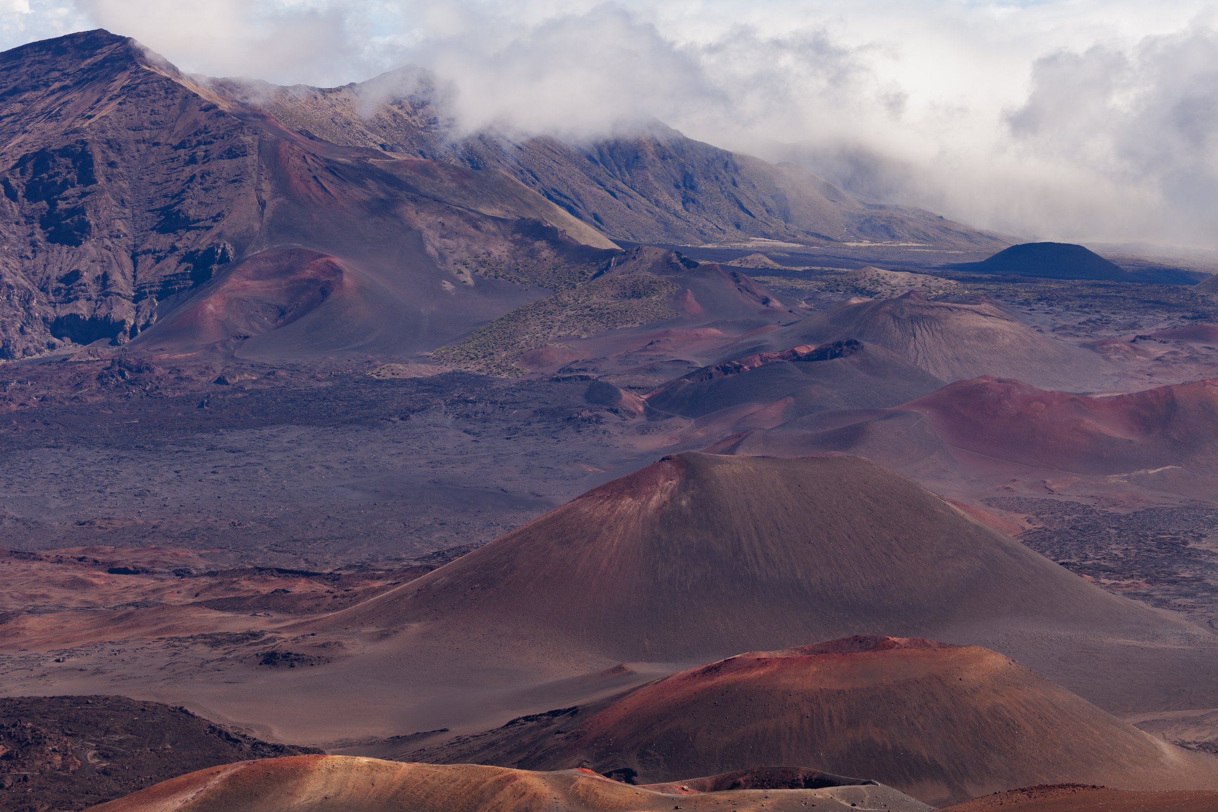 mauicard1-185.jpg