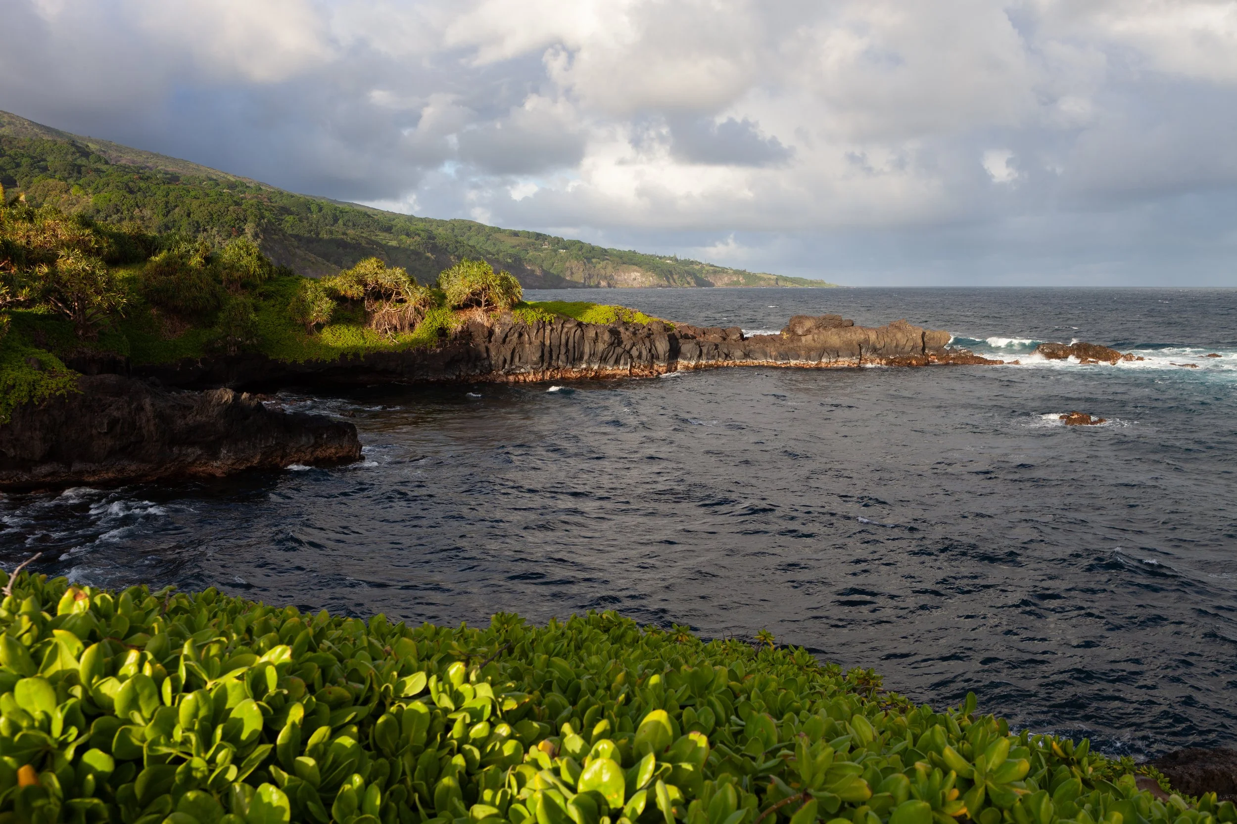mauicard2-137.jpg