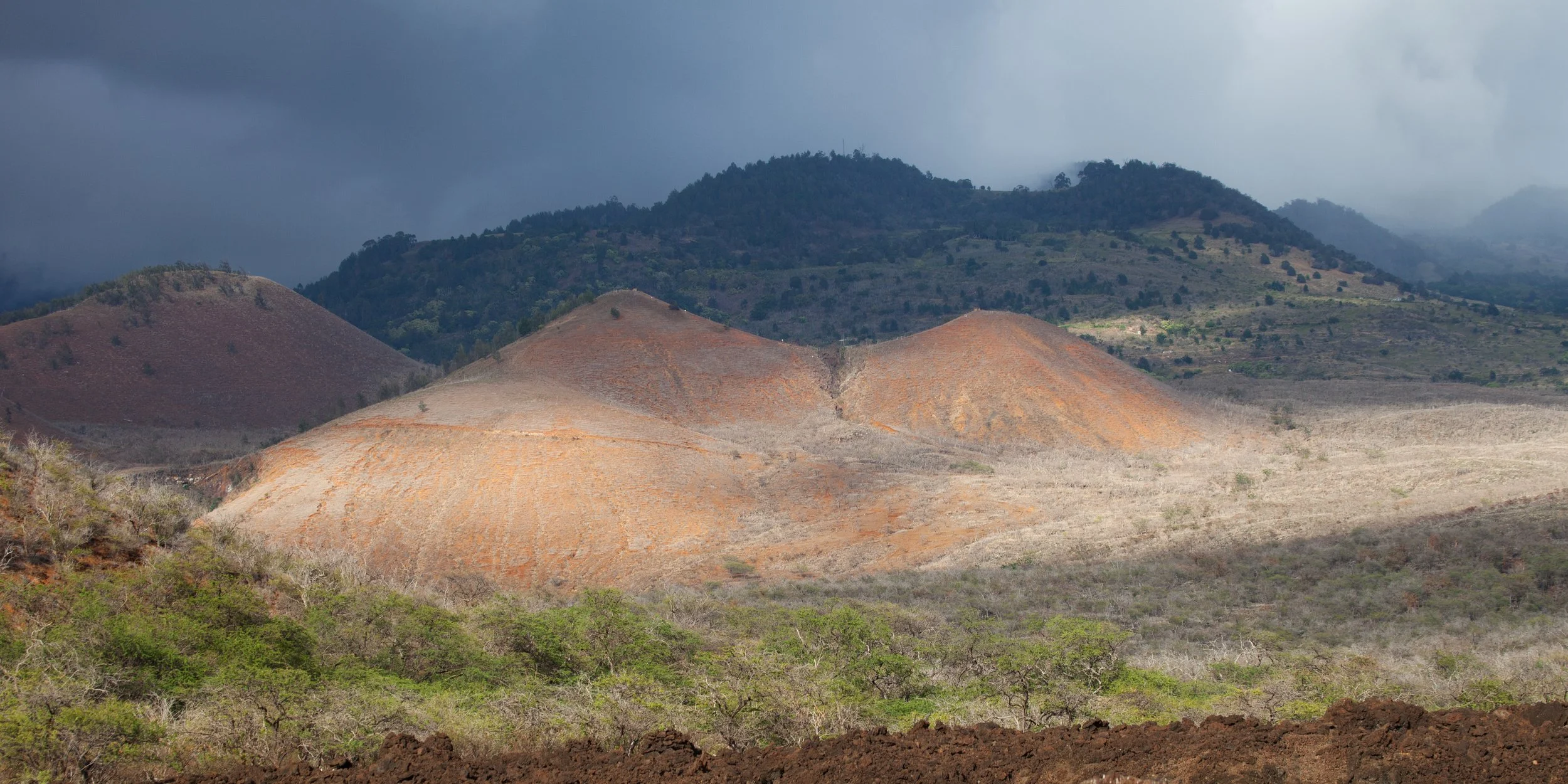 mauicard1-096.jpg