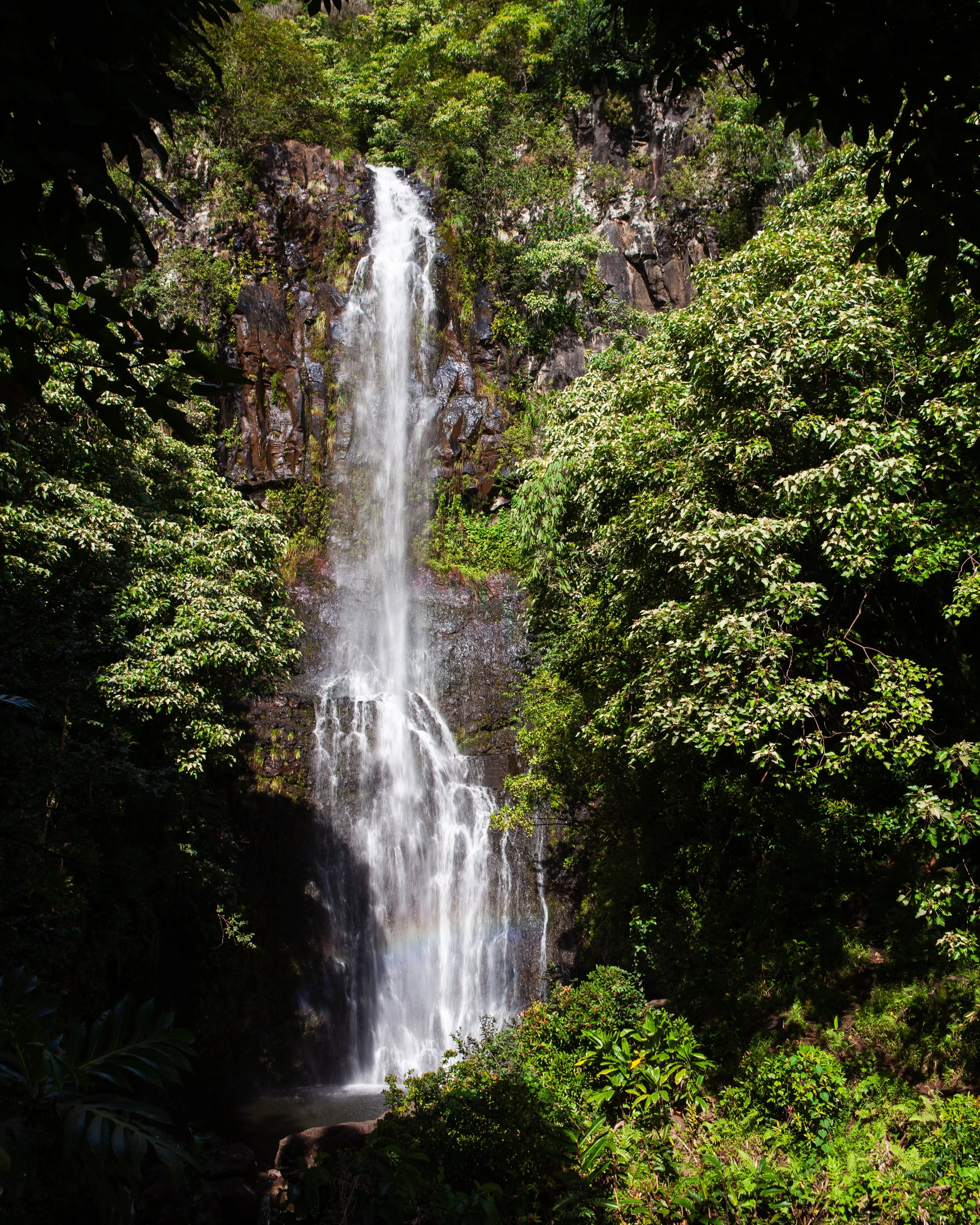 mauicard2-054.jpg
