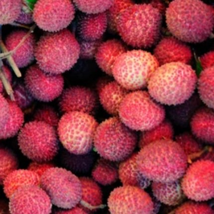 lychee.jpg