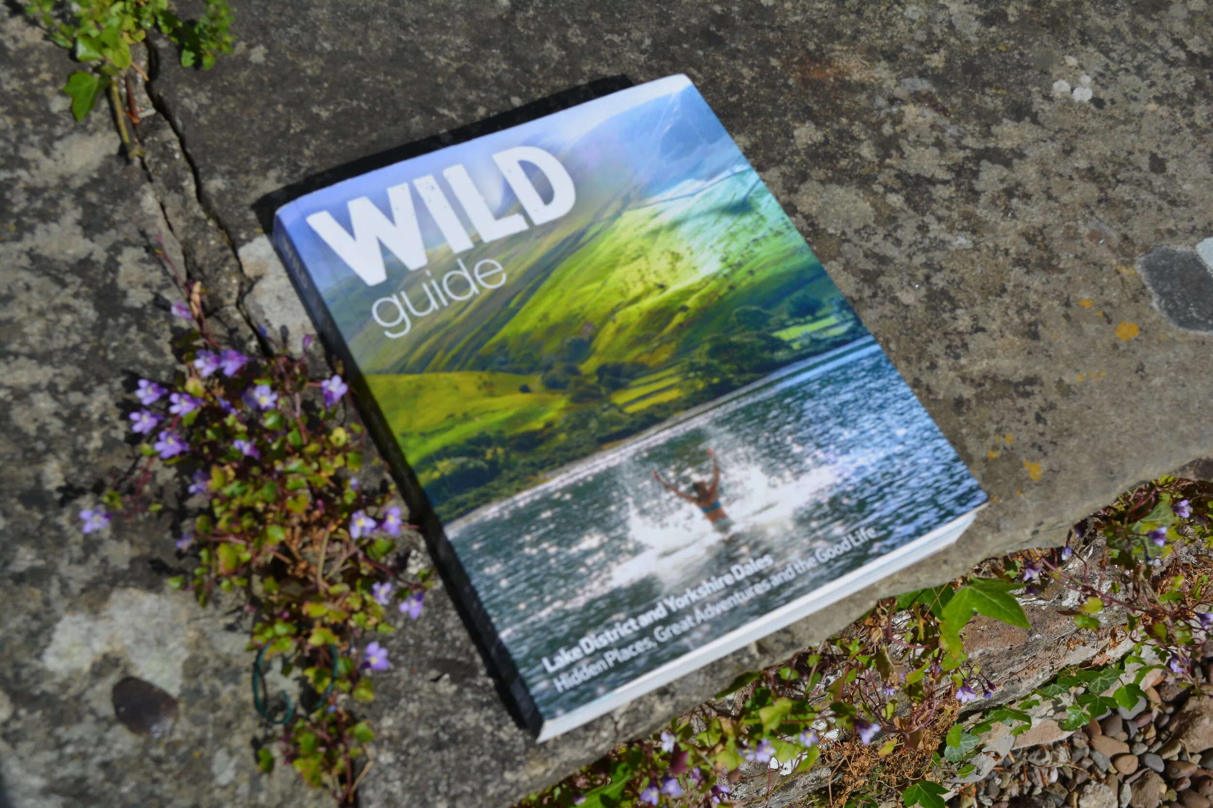 Our favourite books about the Yorkshire Dales (non-fiction)