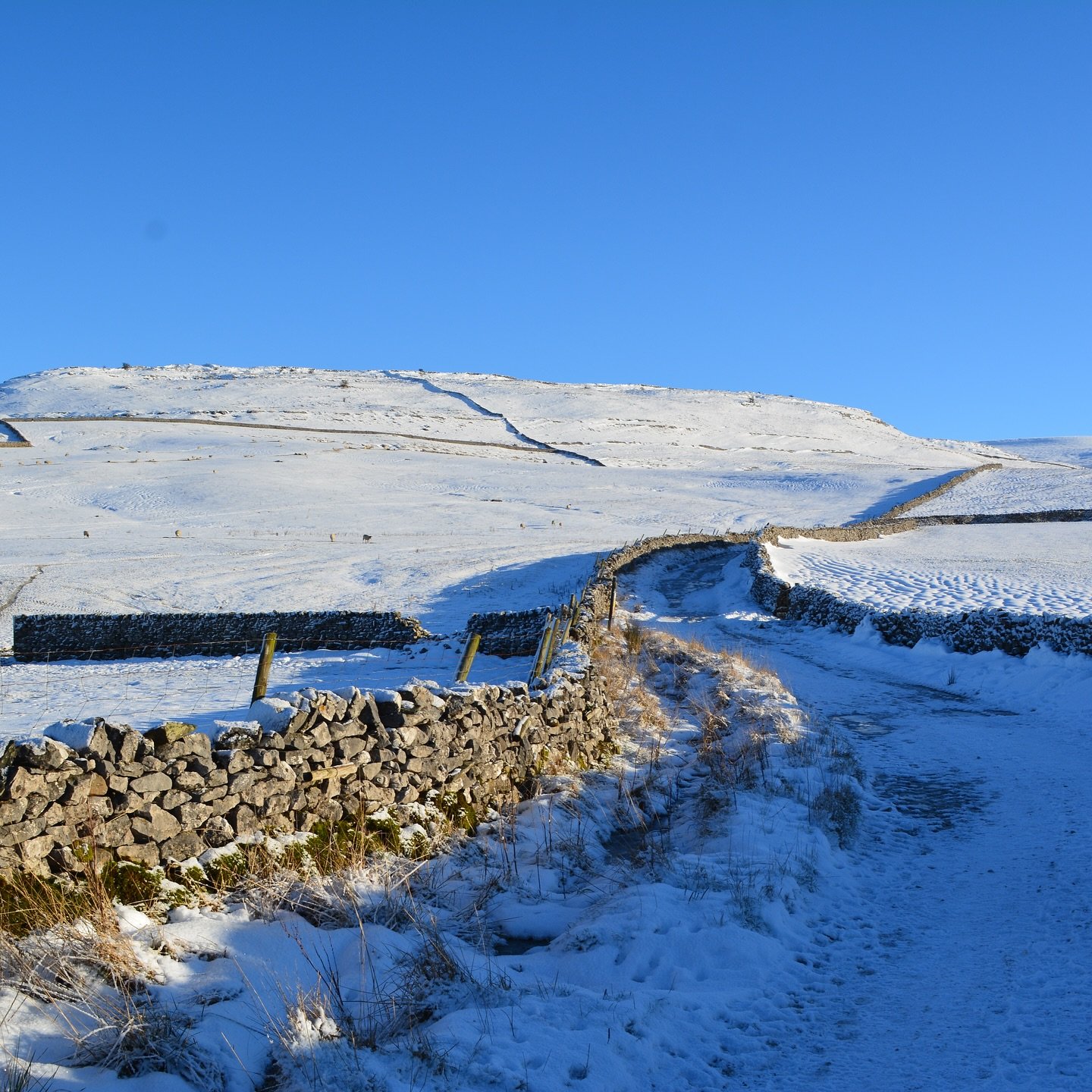 Absolutely stunning walk up Ingleborough from Ingleton on Thursday - perfect blue sky and snowy conditions from the start!

Scroll to the end for views from the summit including over Ribblehead Viaduct, Whernside and to the snow covered Lakeland fell