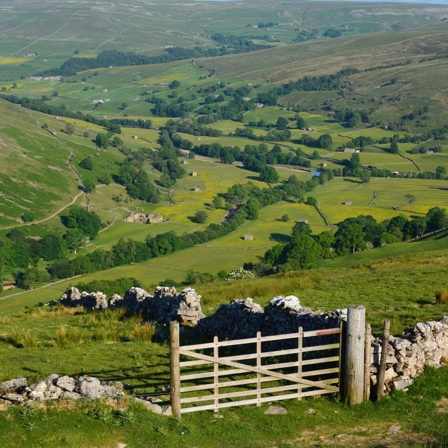 Our walking holidays in Swaledale have been really popular so far this year, and for good reason!

This area combines stunning scenery, traditional villages, and miles and miles of quiet footpaths! And as an added bonus, you get to visit some of the 