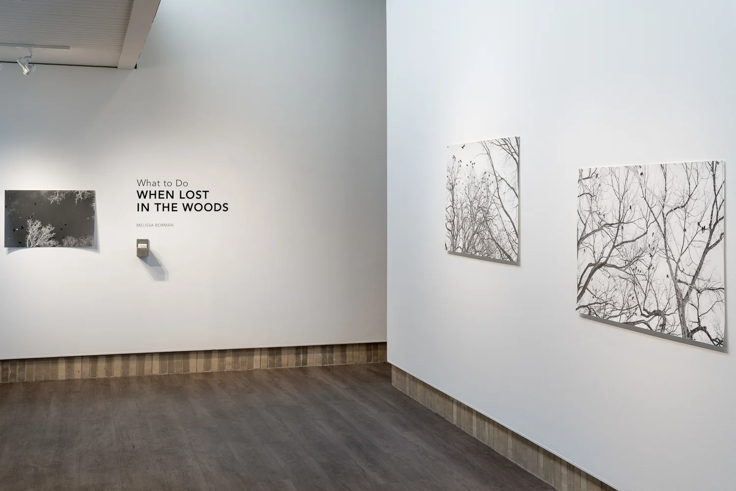 Installation detail,  Schaefer Gallery, Gustavus Adolphus College, 2018