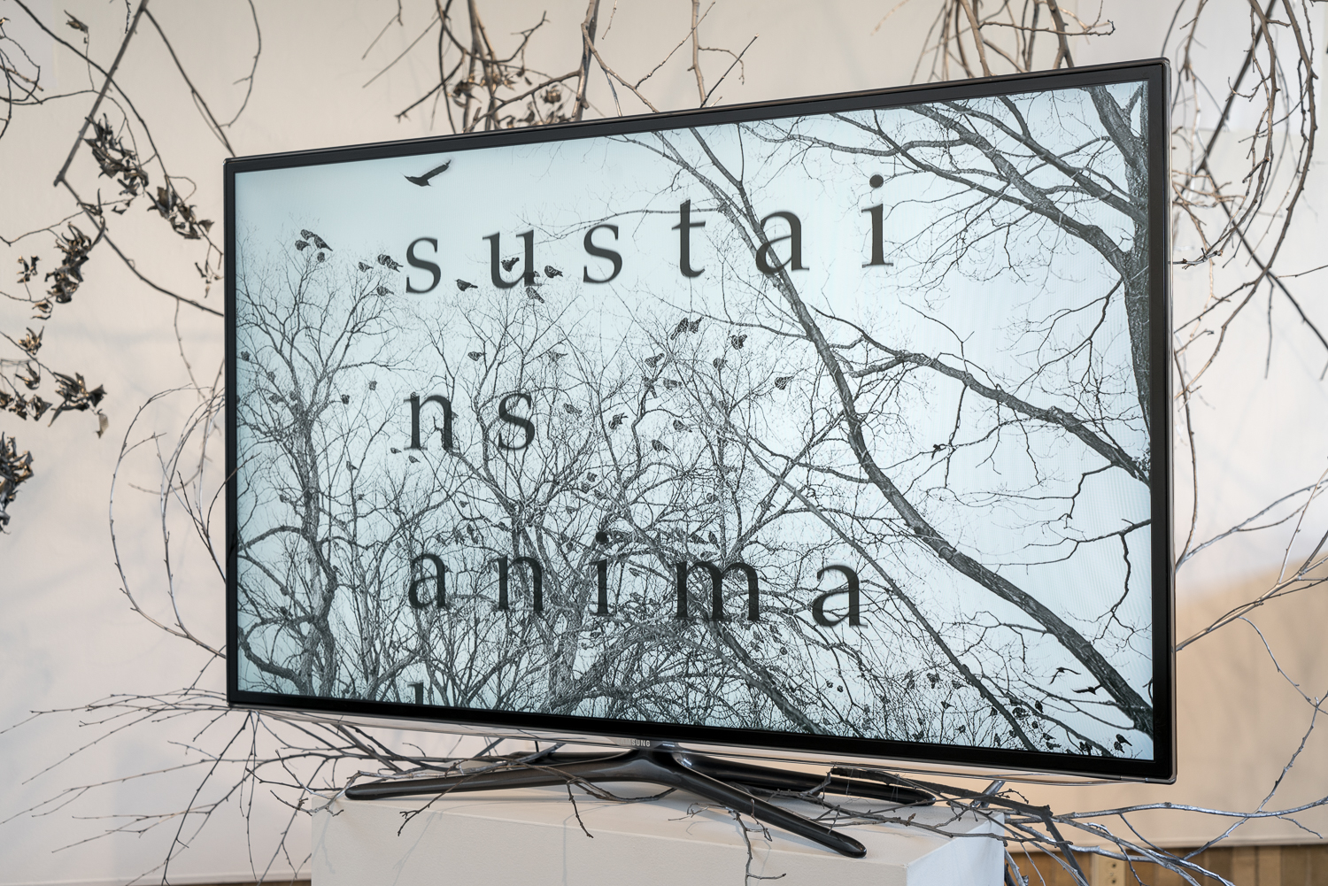 Installation detail,  Schaefer Gallery, Gustavus Adolphus College, 2018