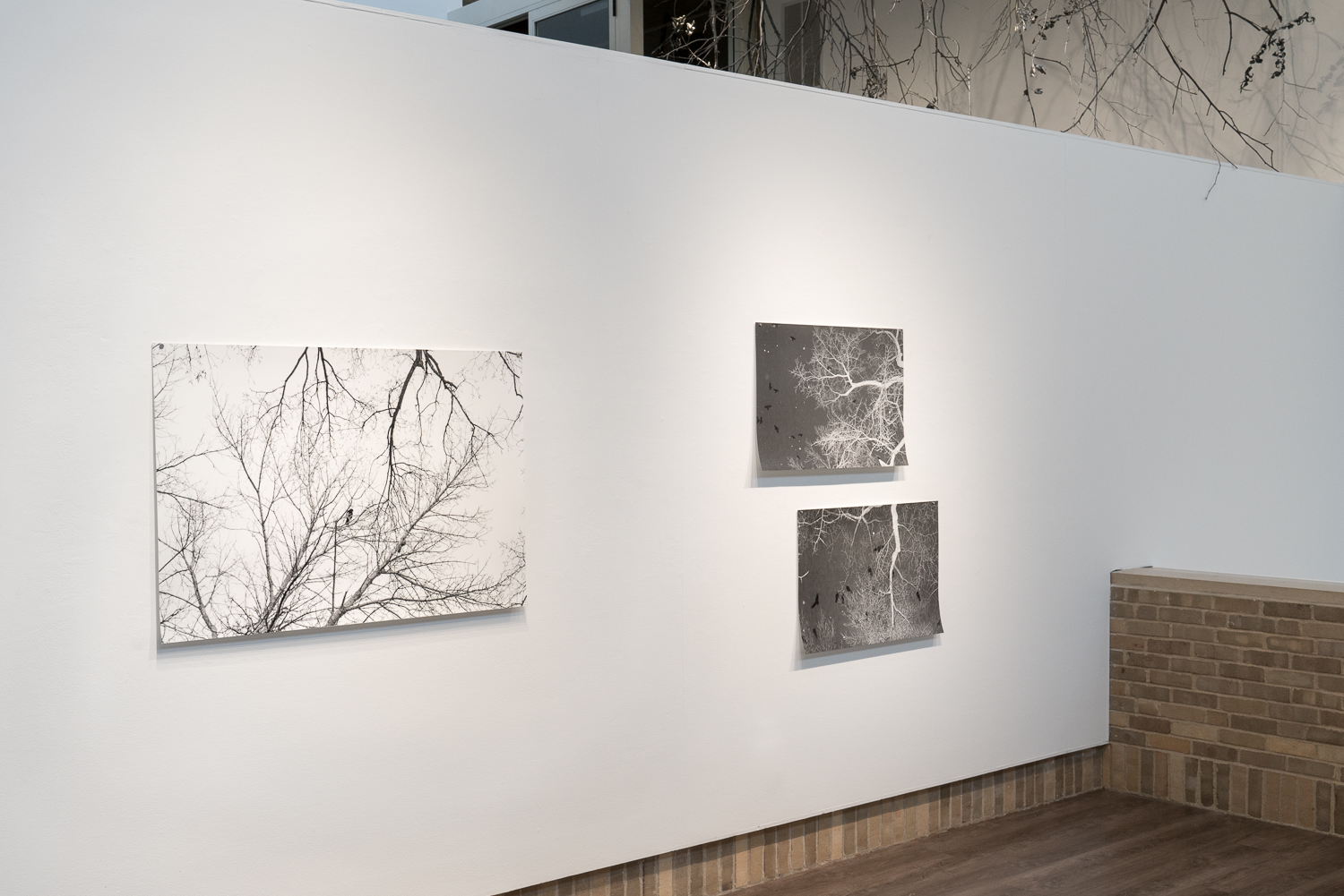 Installation detail,  Schaefer Gallery, Gustavus Adolphus College, 2018