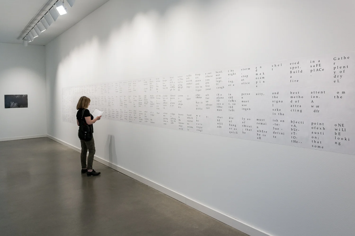 Installation detail,  Rochester Art Center, 2016