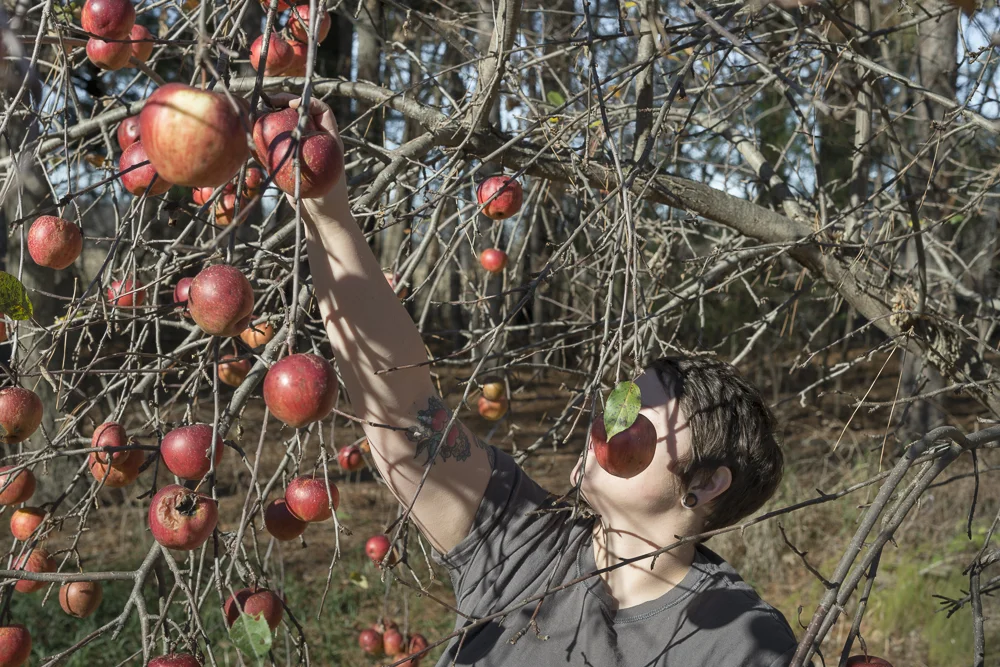 Special Edition-2.jpg