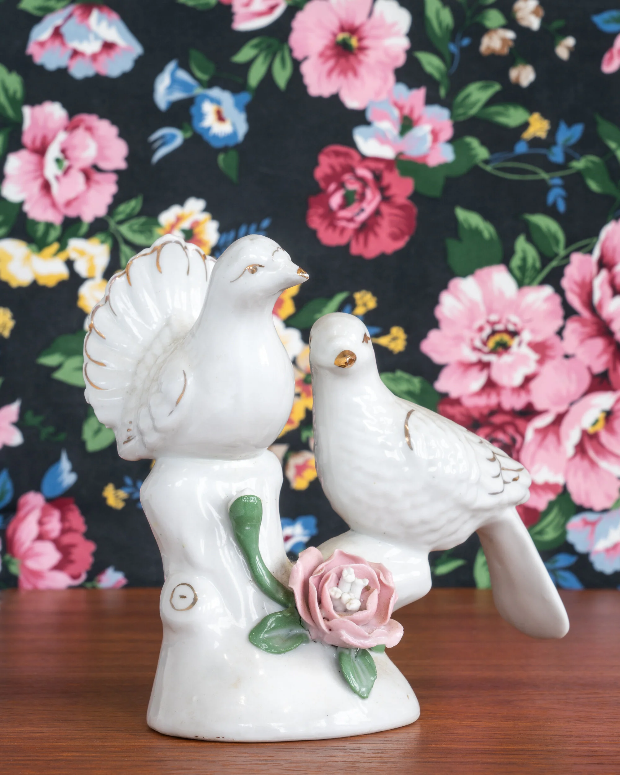   Doves (Couple)  
