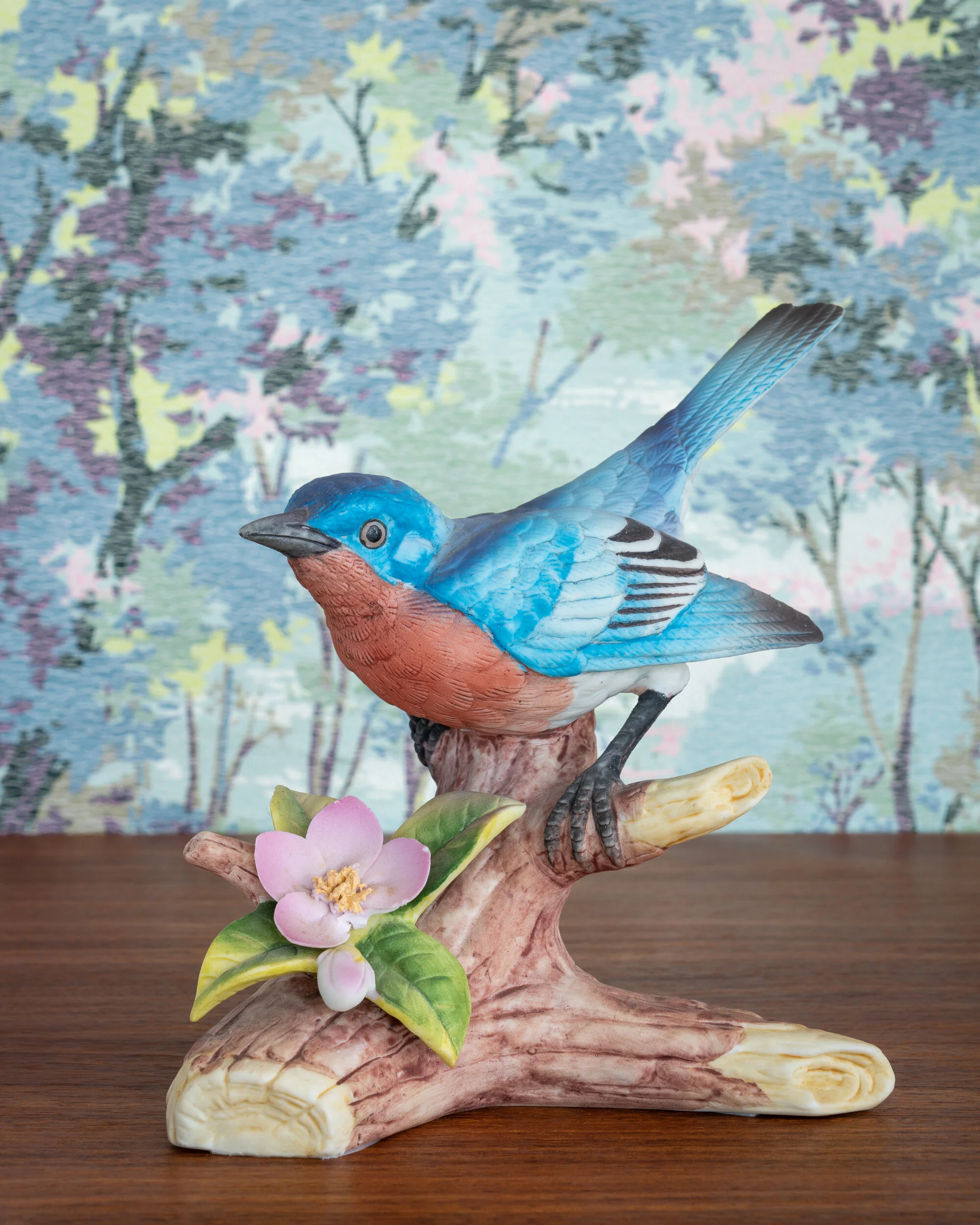   Eastern Bluebird  