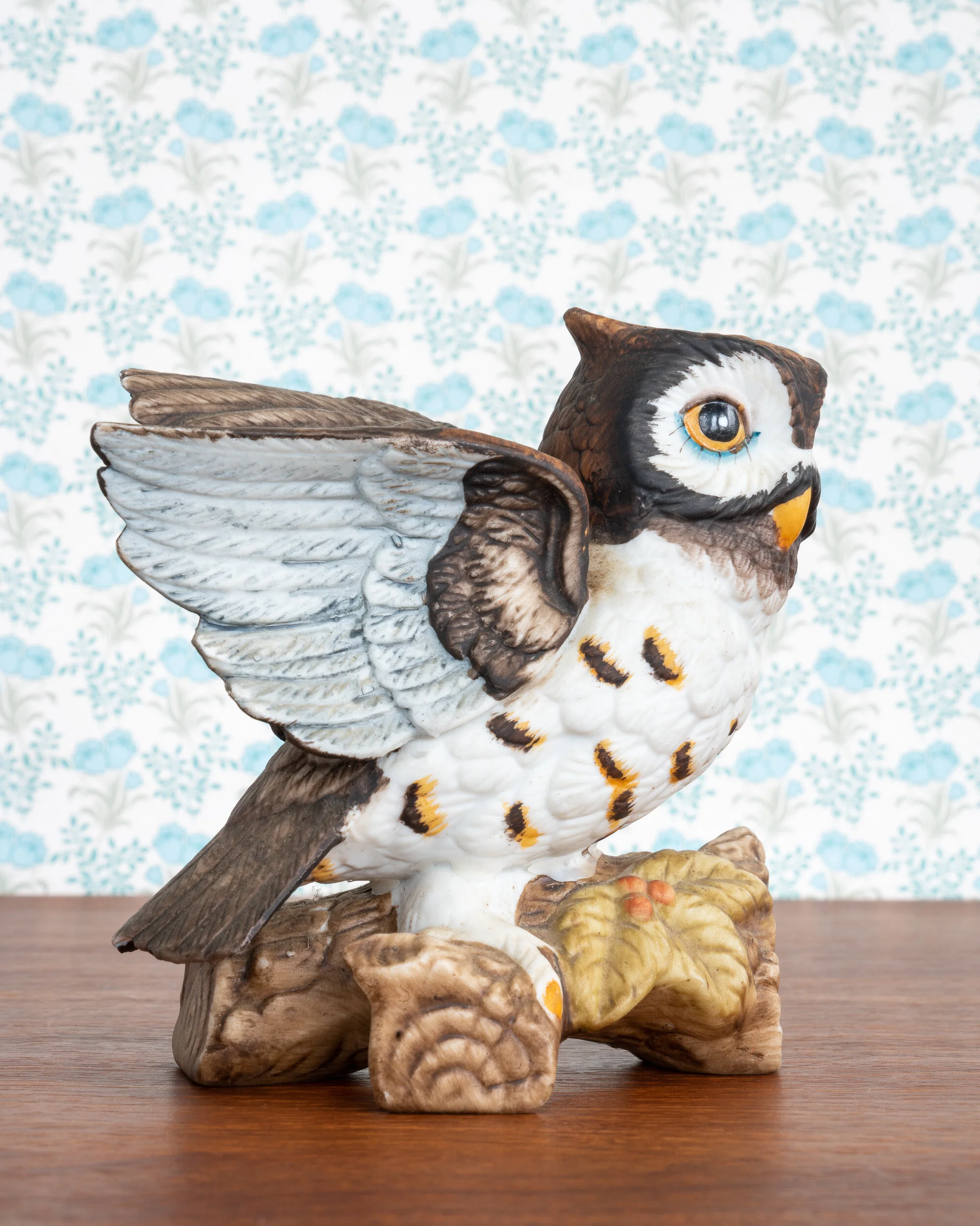   Spotted Owl  