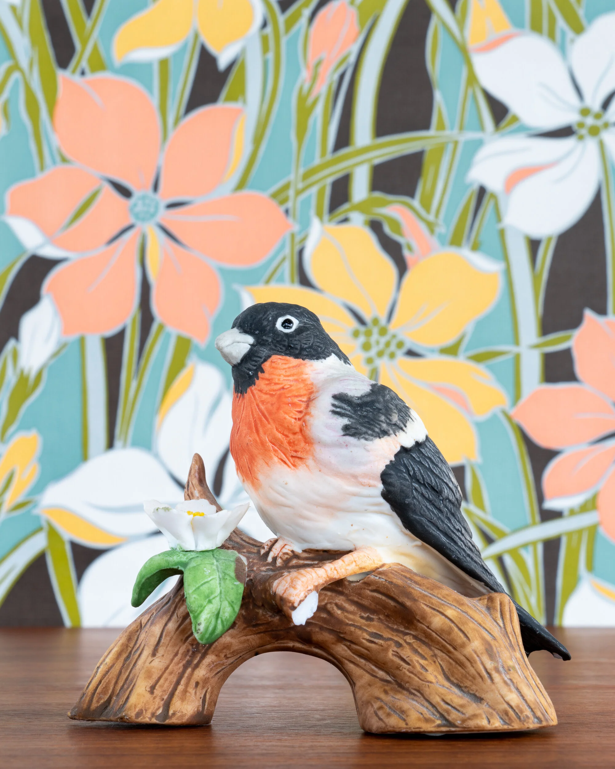   Rose-breasted Grosbeak  