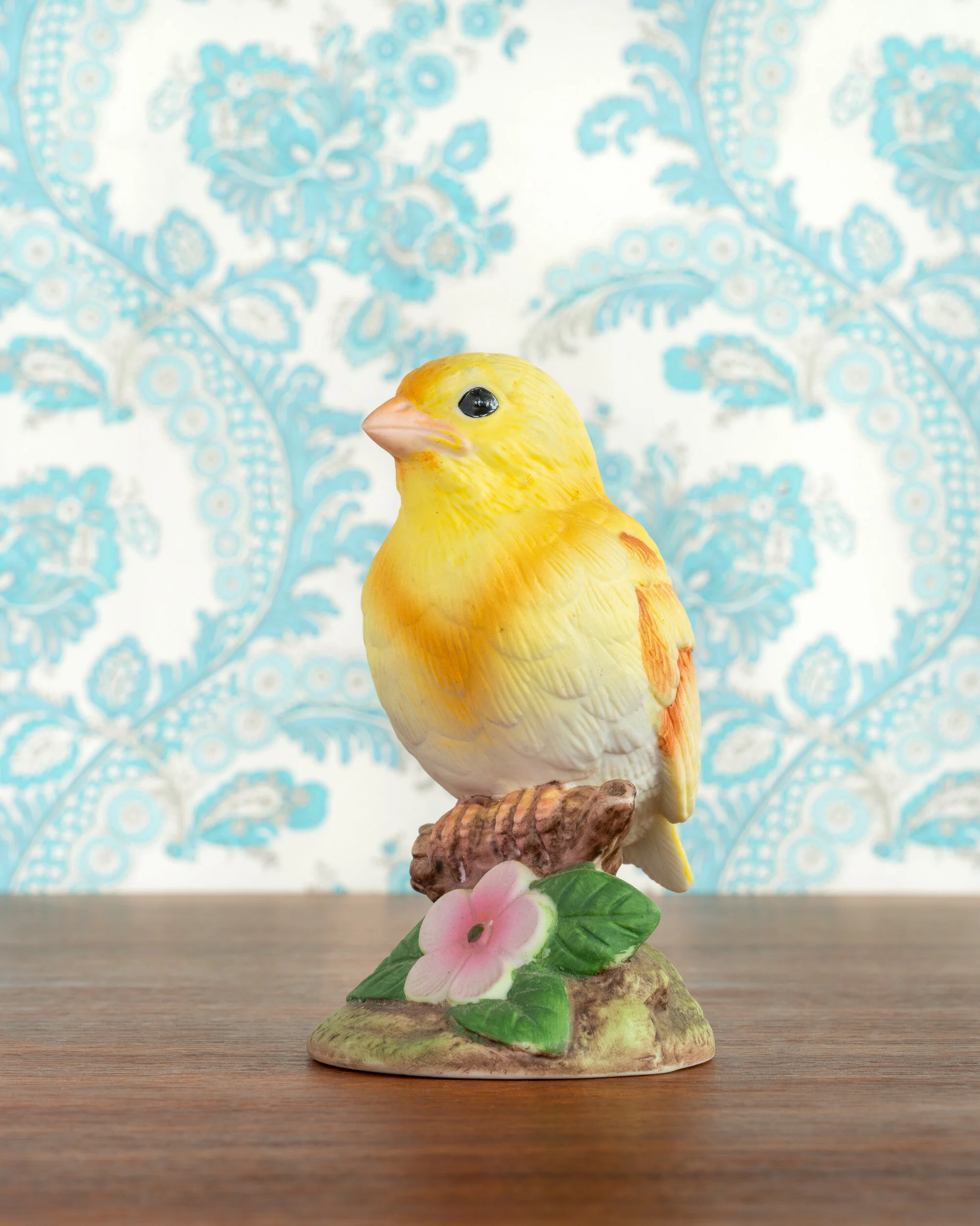   Yellow Warbler  