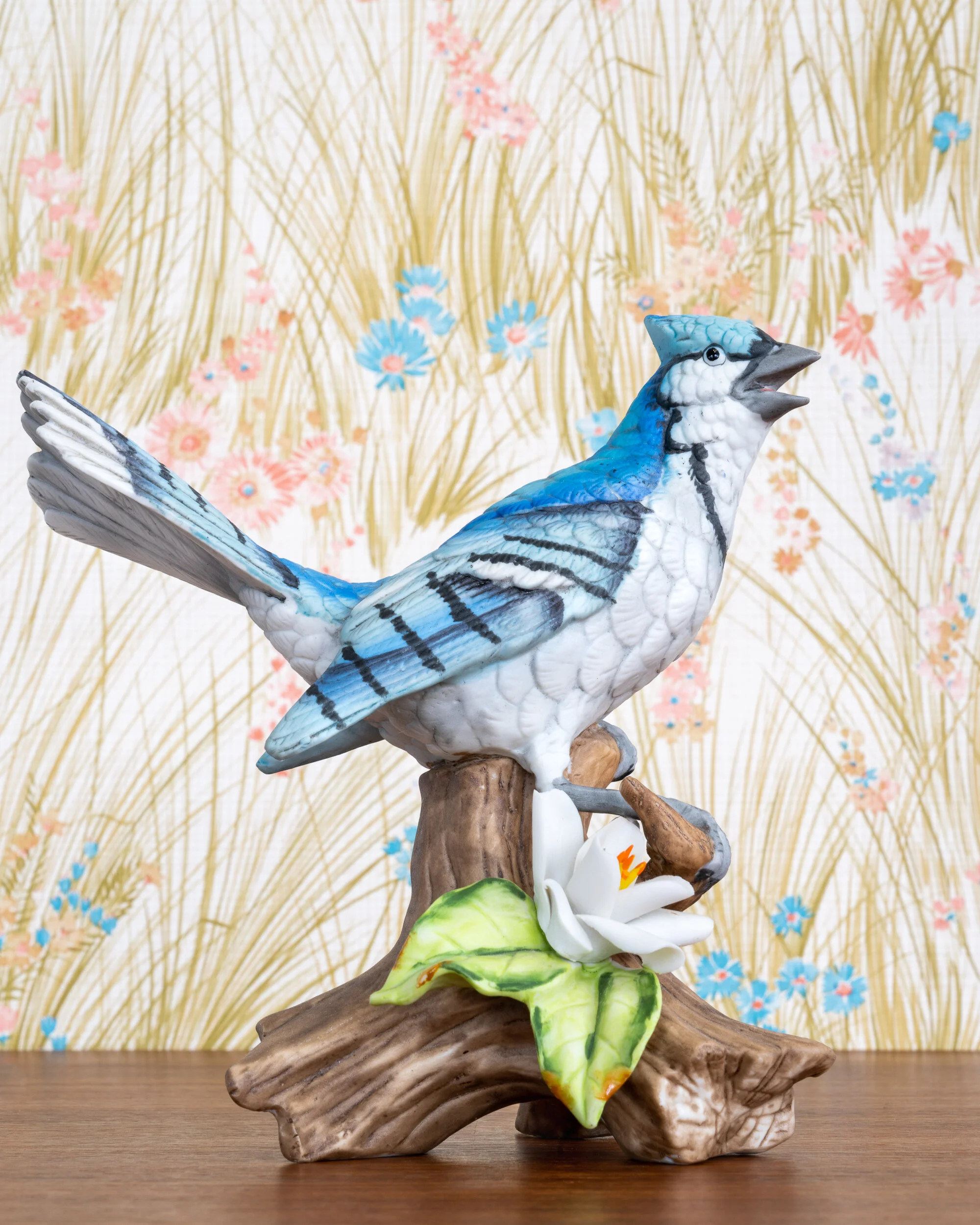   Blue Jay (Squak)  