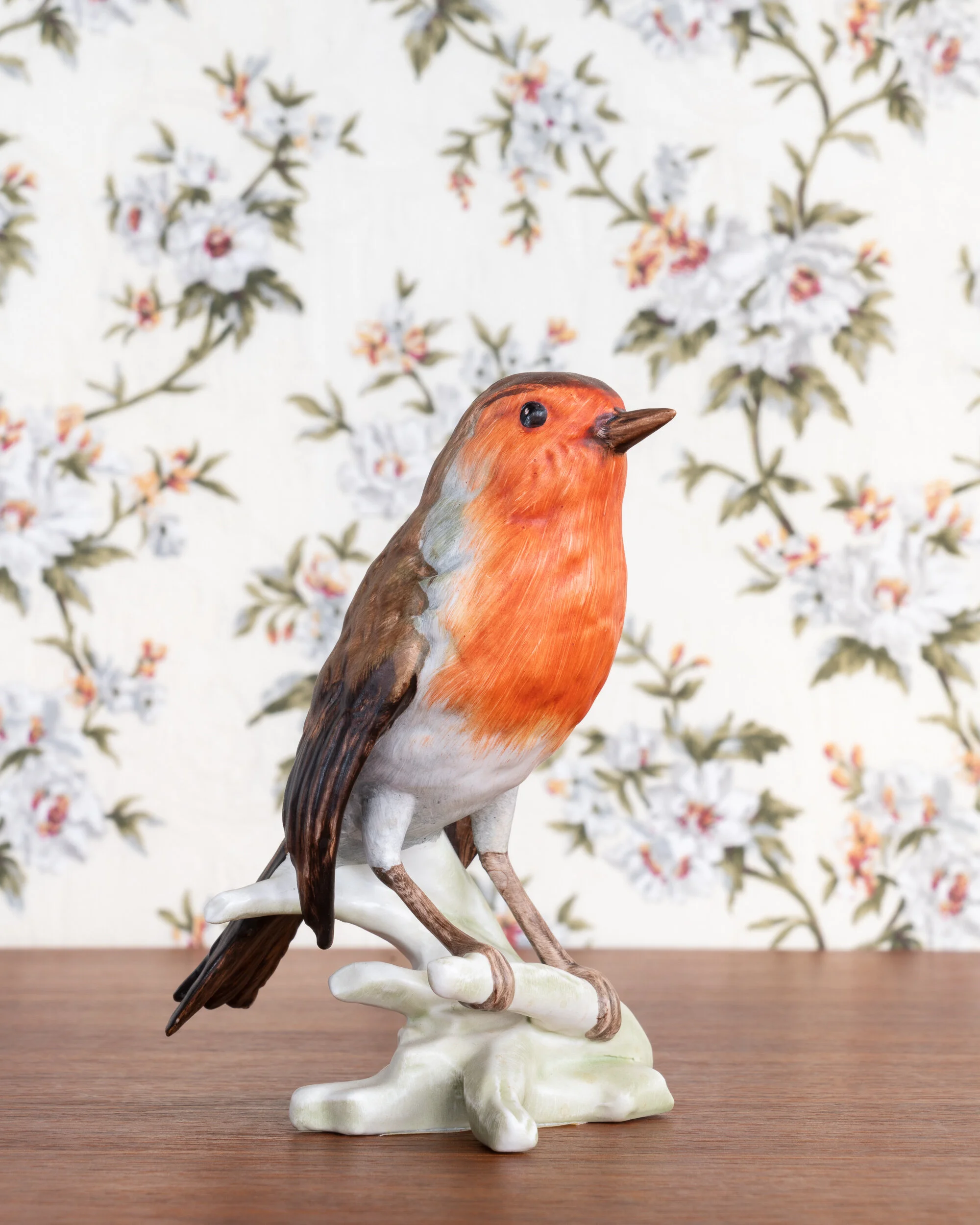   European Robin  