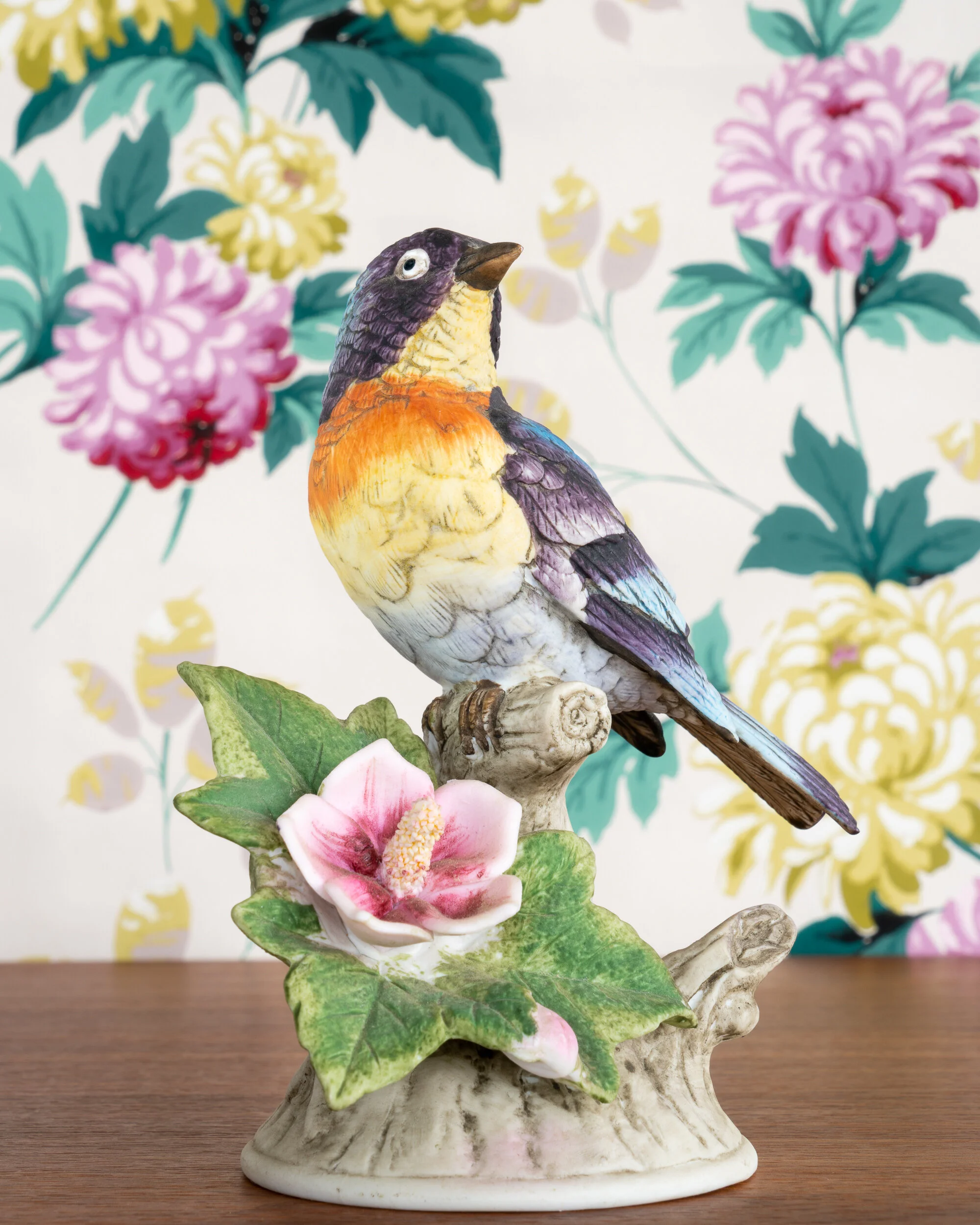   Parula Warbler  