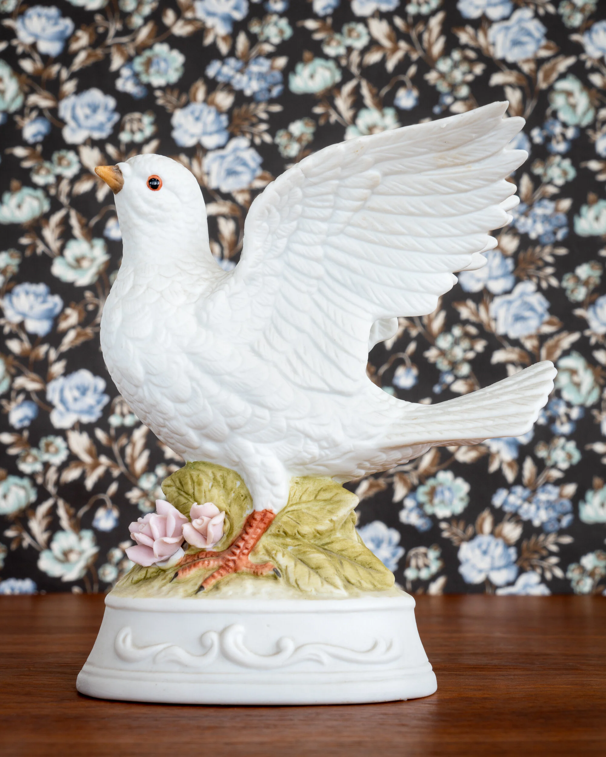   White Dove  