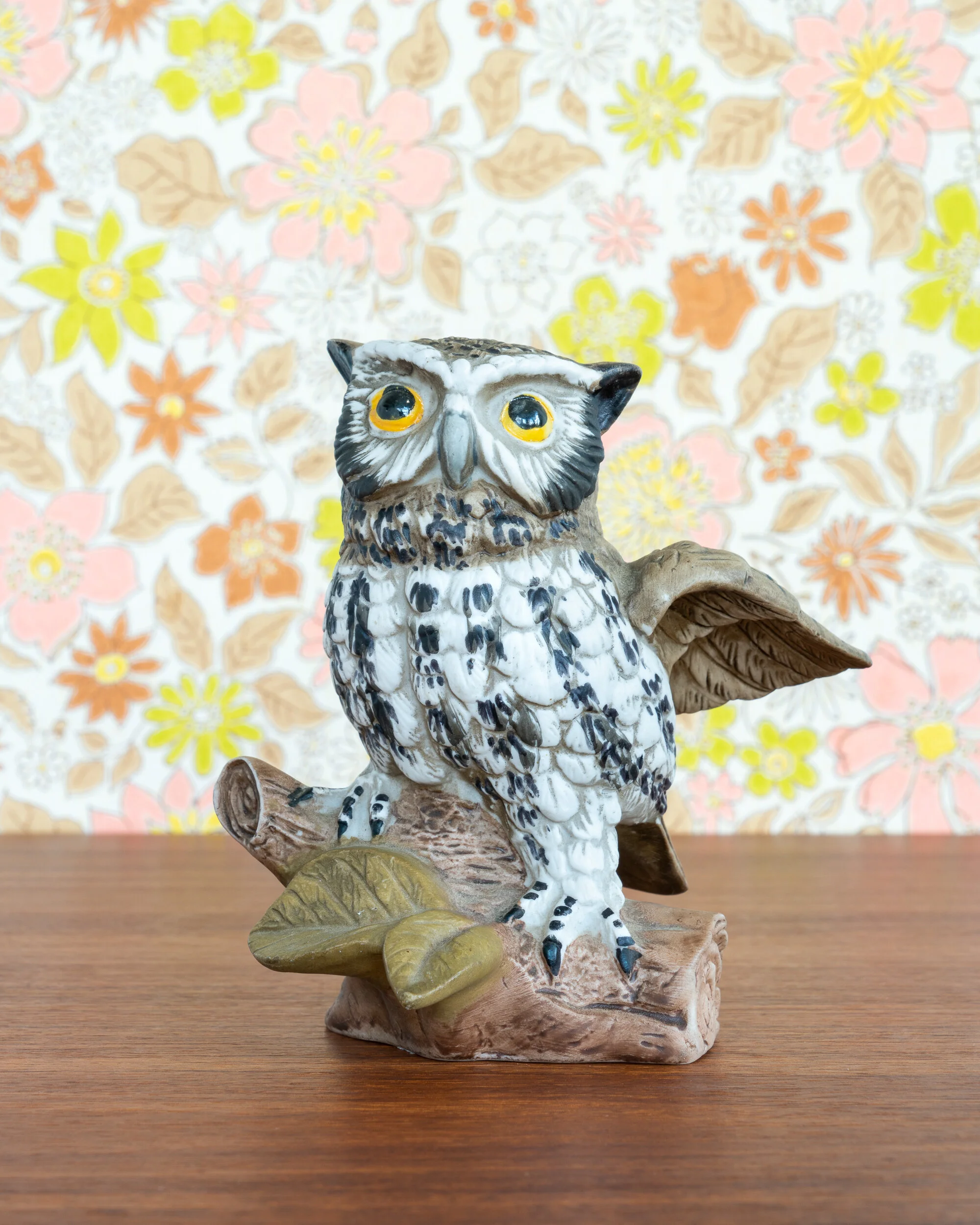   Burrowing Owl  
