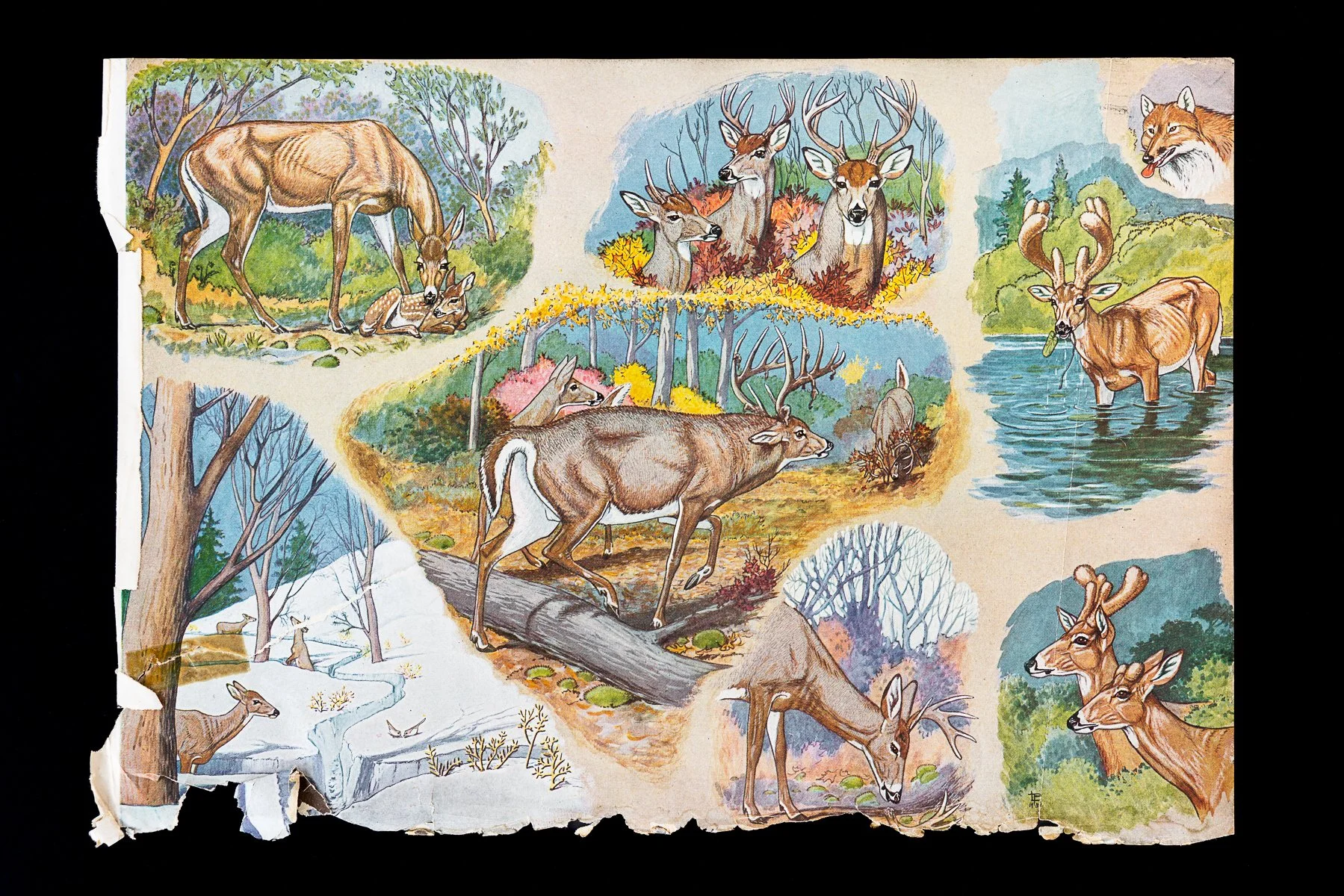 Page, 29"x 44", Archival Pigment Print, 2025