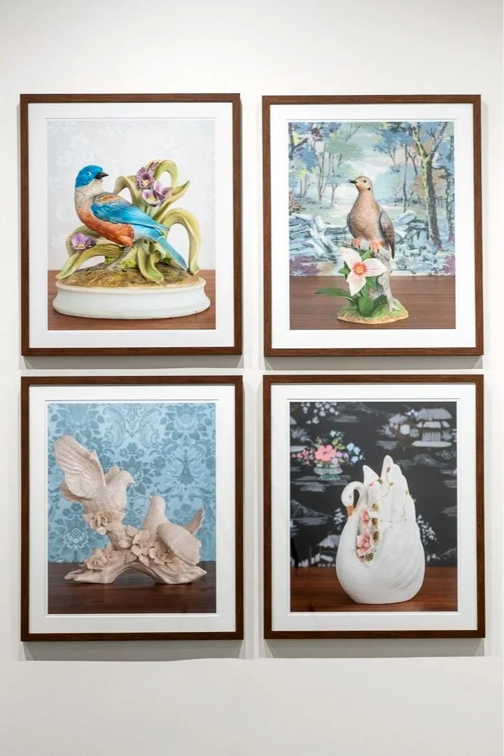   Installation detail, “Birds” at Rosalux Gallery, 2021  