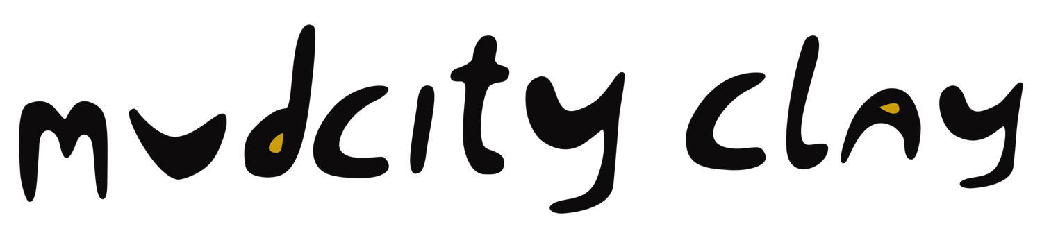 MudCity Clay