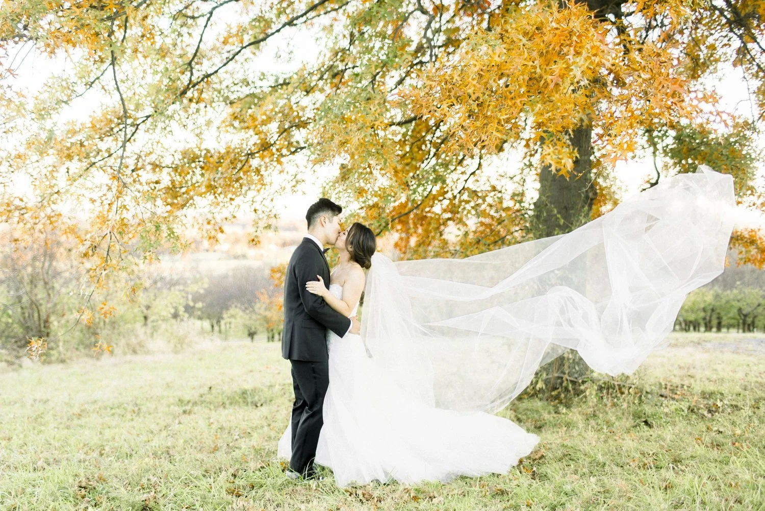bluemont-vineyard-start-planning-inquiry-banner.jpg