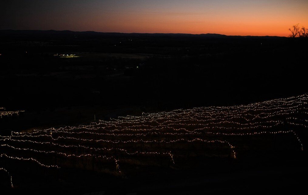Lighting of the Vines Send Off