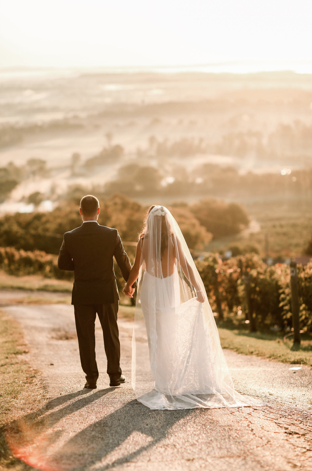 Elopement Bluemont Vineyard Driveway 