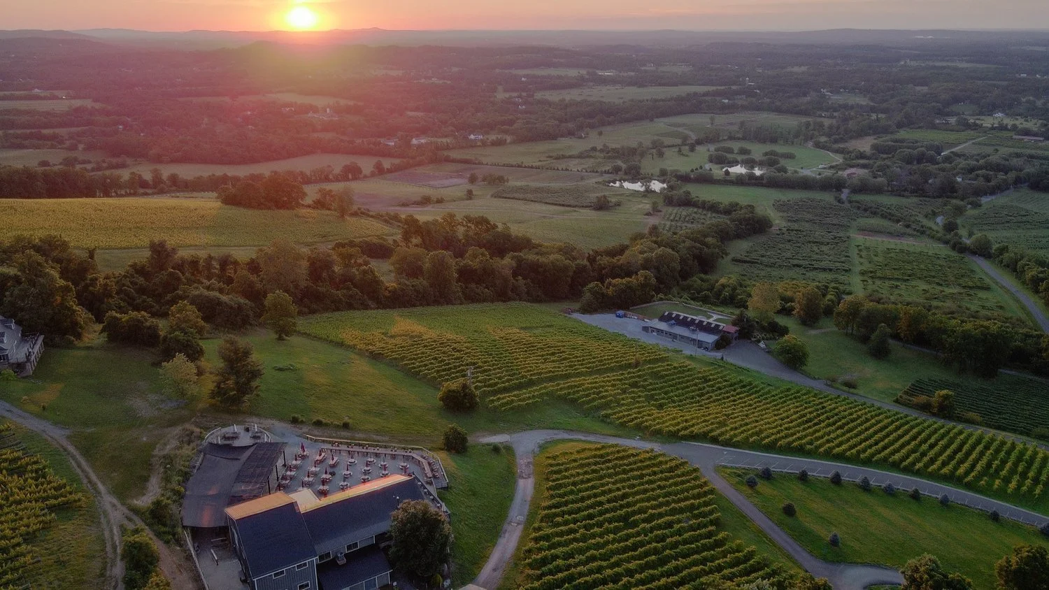 Best of Loudoun 2024