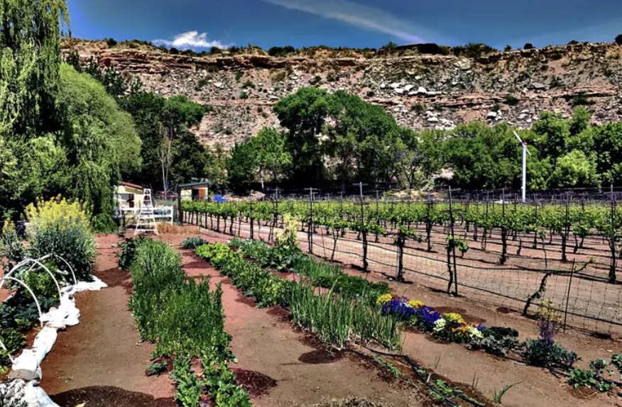 9 Incredible Vineyards in the U.S.