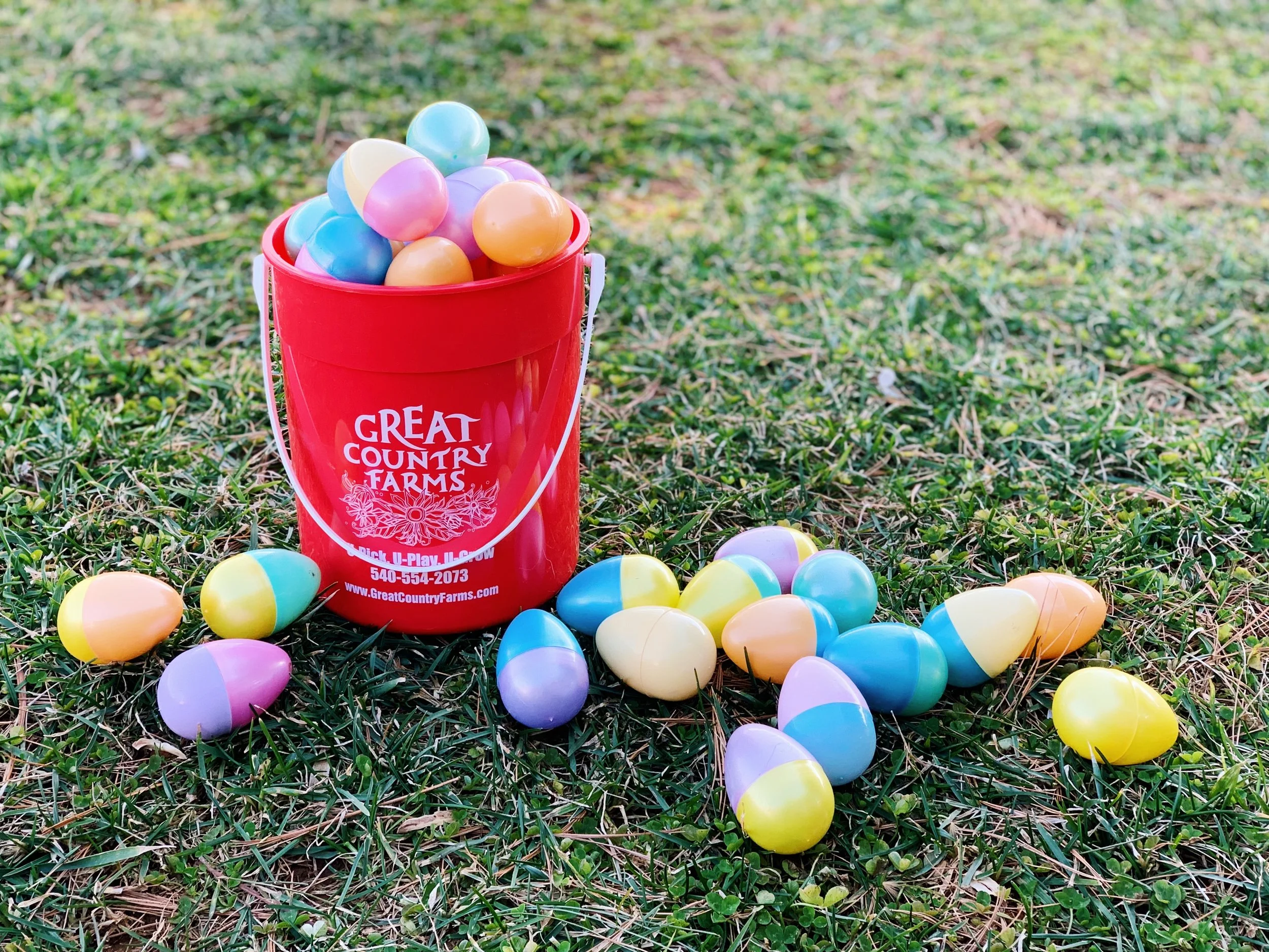 Adult Egg Hunt at Henway Hard Cider – Sip, Search &amp; Win! 